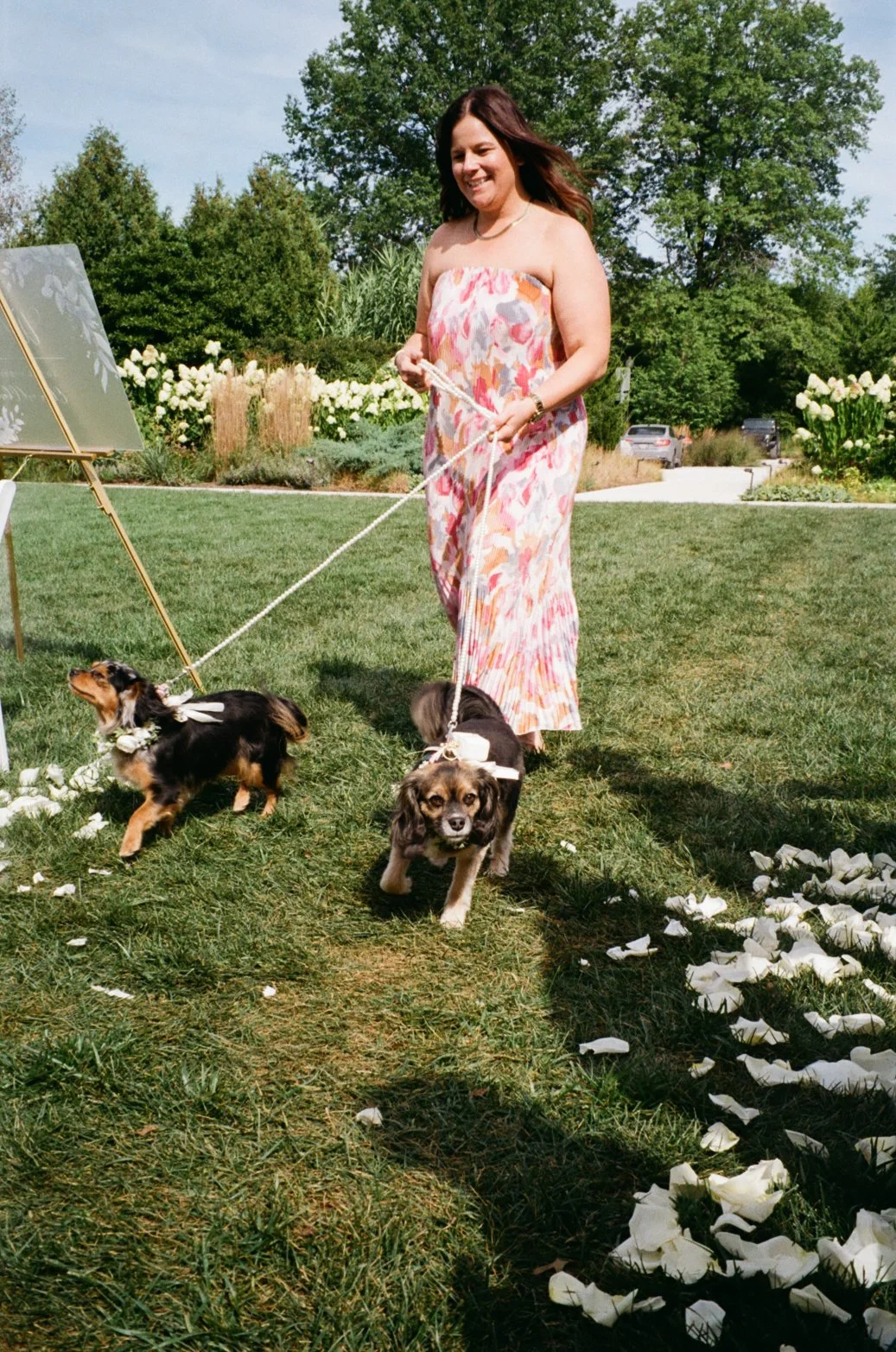 A woman in a strapless, colorful, tie-dye dress walking dogs on leashes through a garden with white flower petals on the grass and trees in the background.