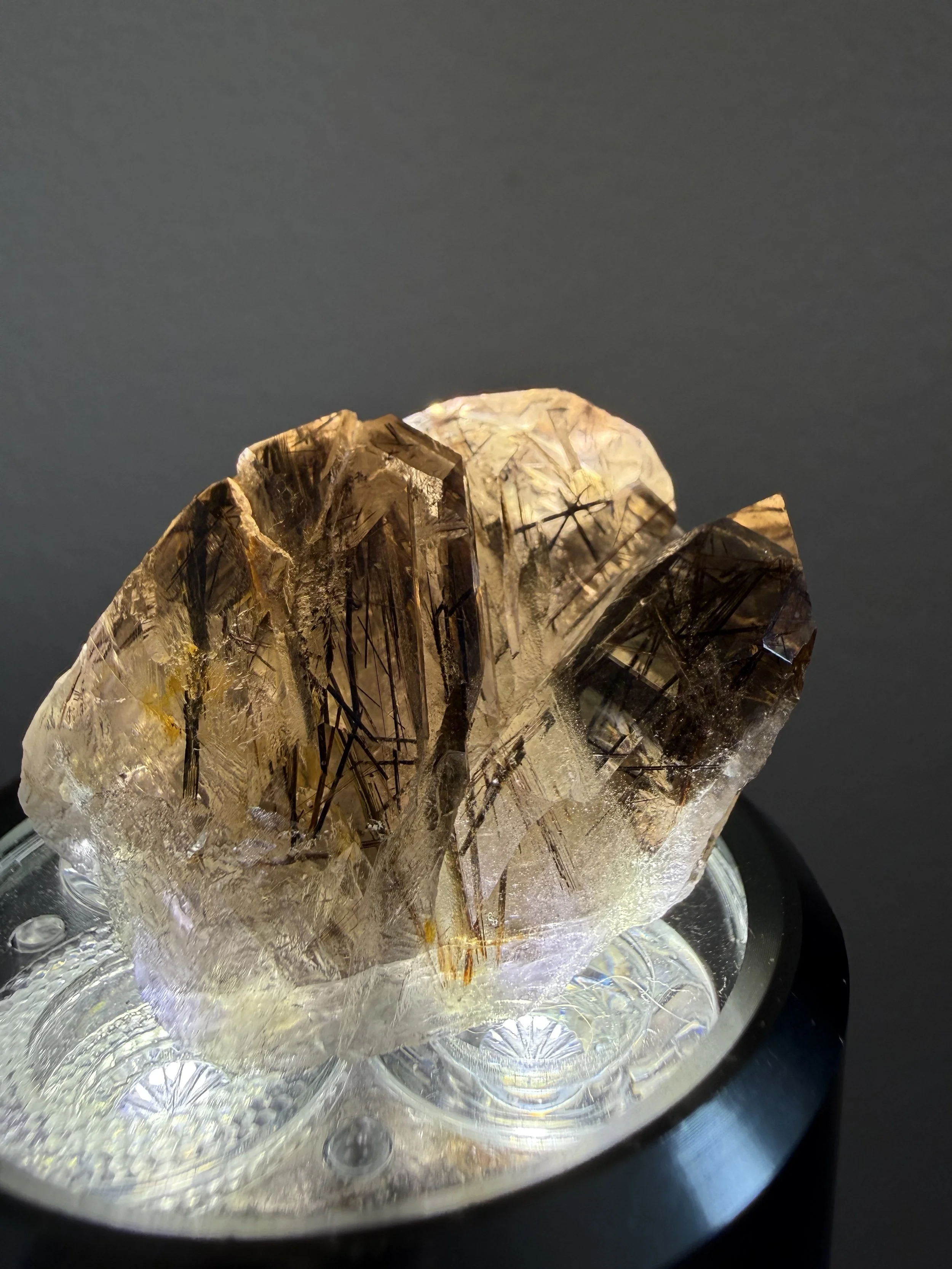 Smoky Rutilated Quartz Cluster