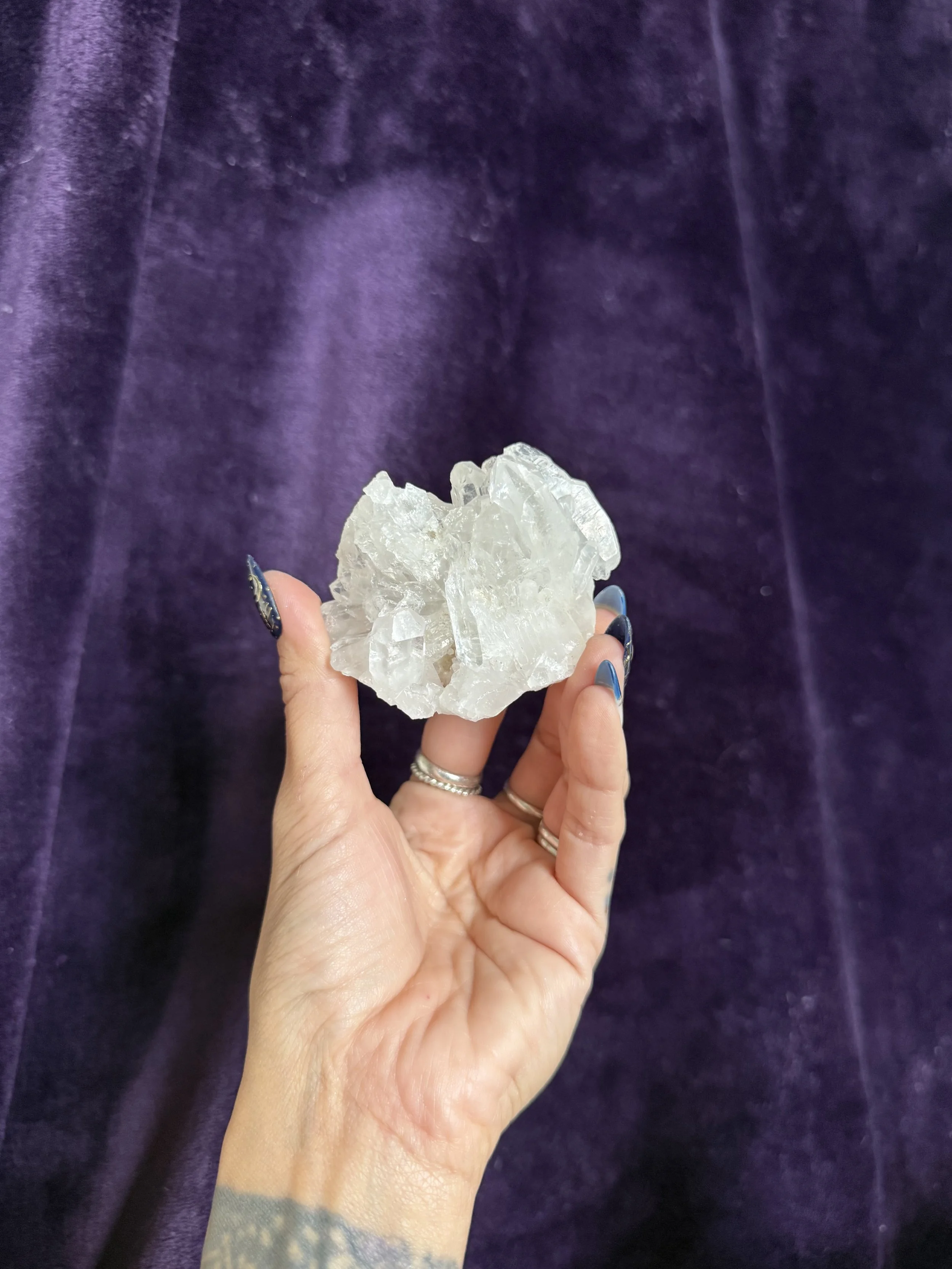 IMG_8453.jpeg