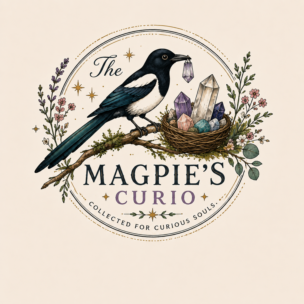 The Magpie's Curio
