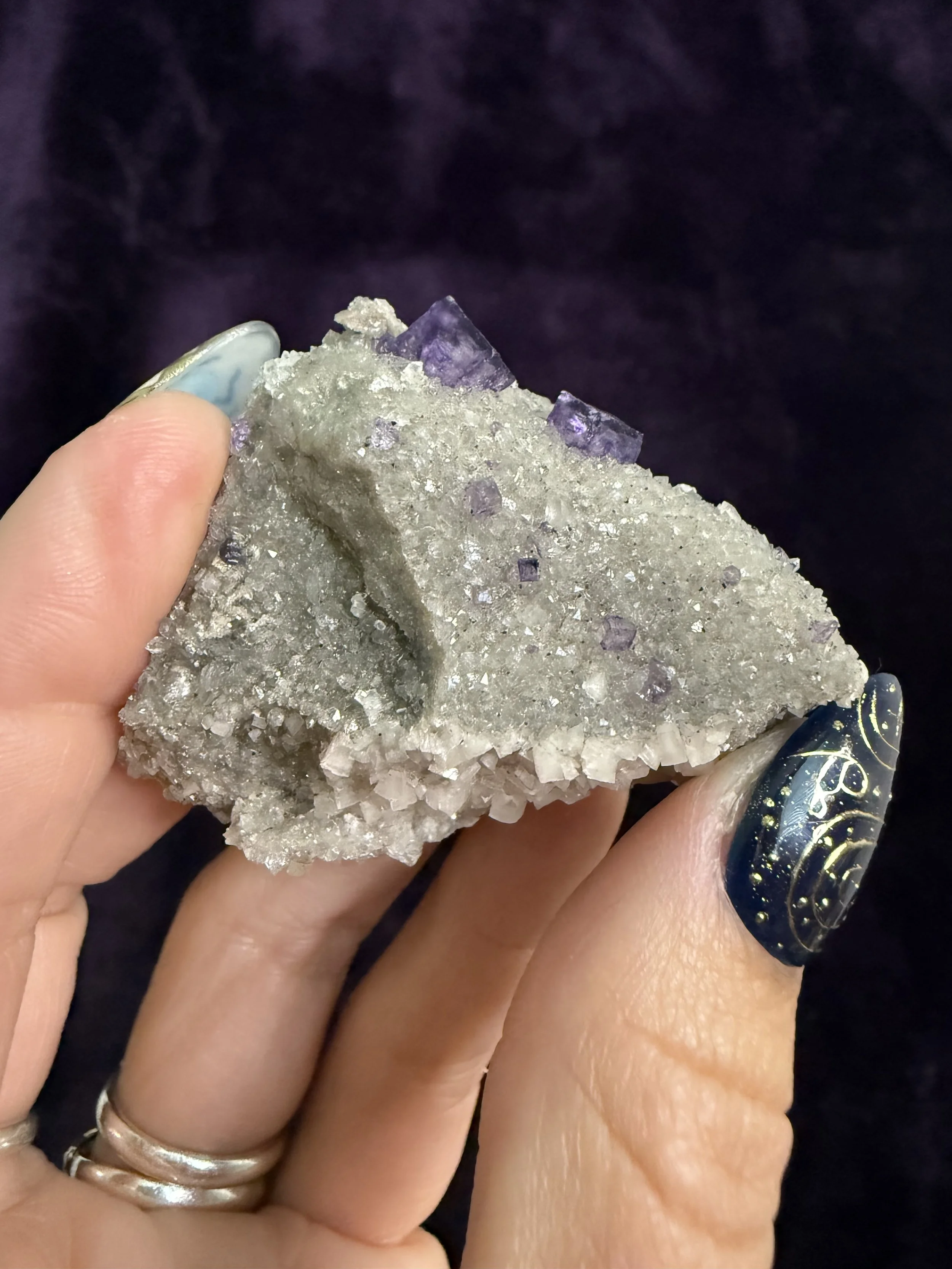 IMG_8165.jpeg