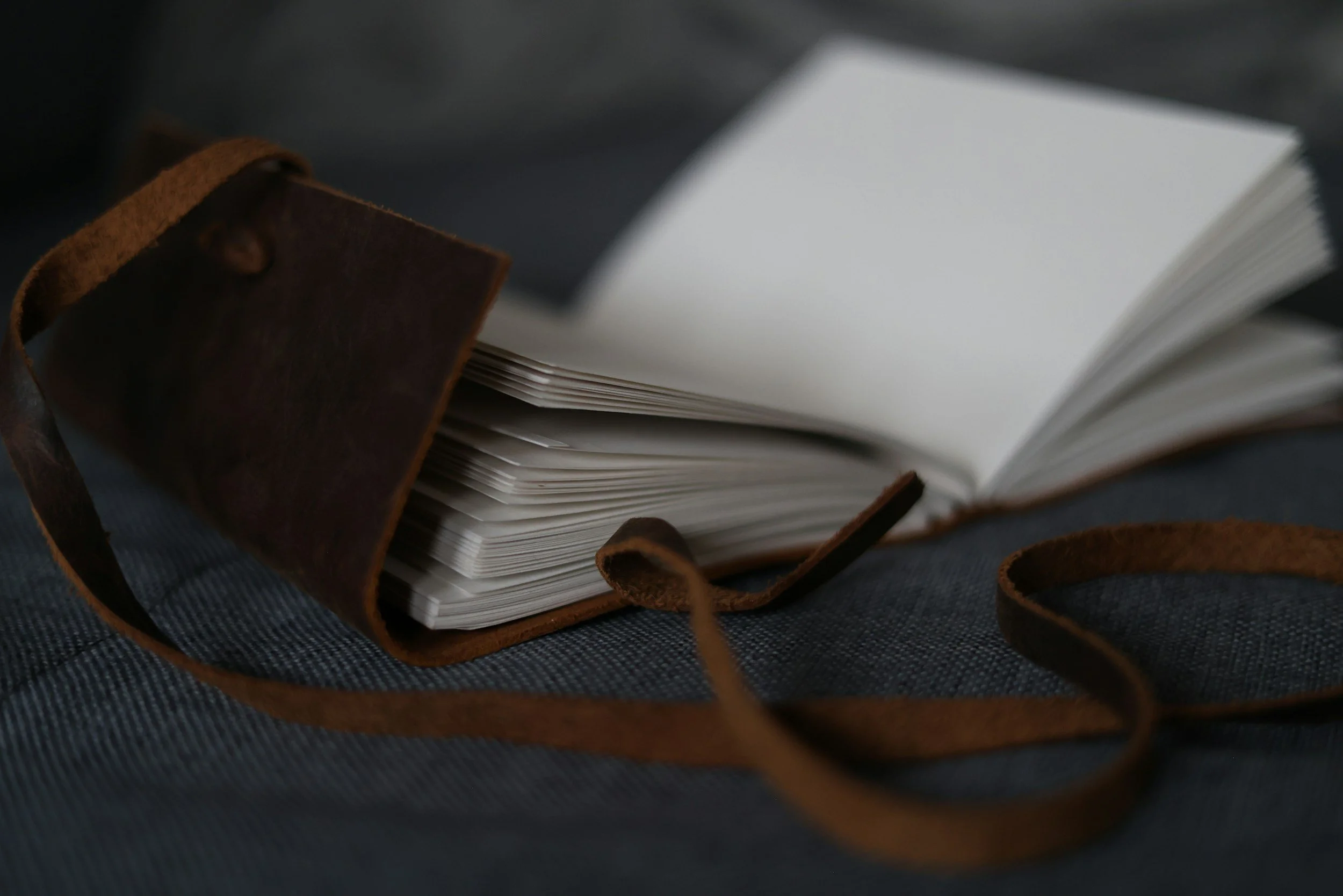 Organized financial journal and ledger for creative small business bookkeeping