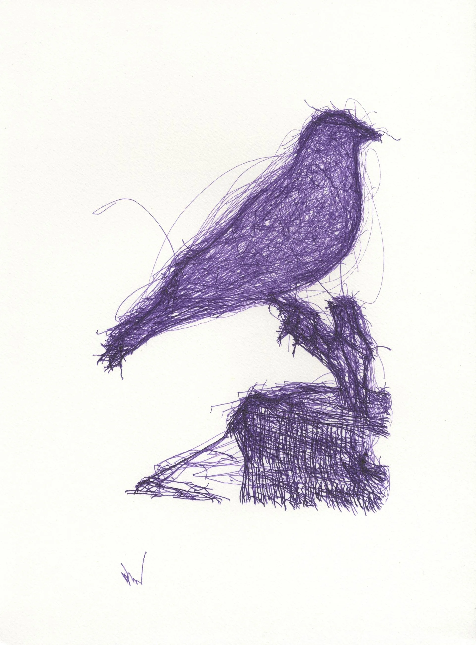 Corbeau 2023