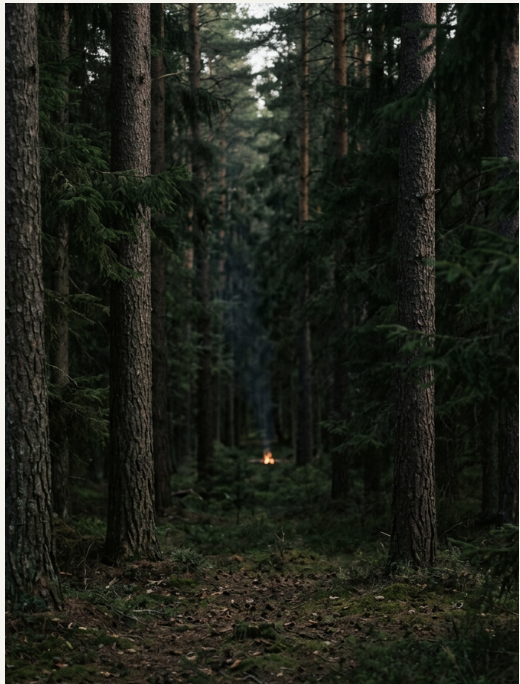 Verborgenes Licht [concealed light]