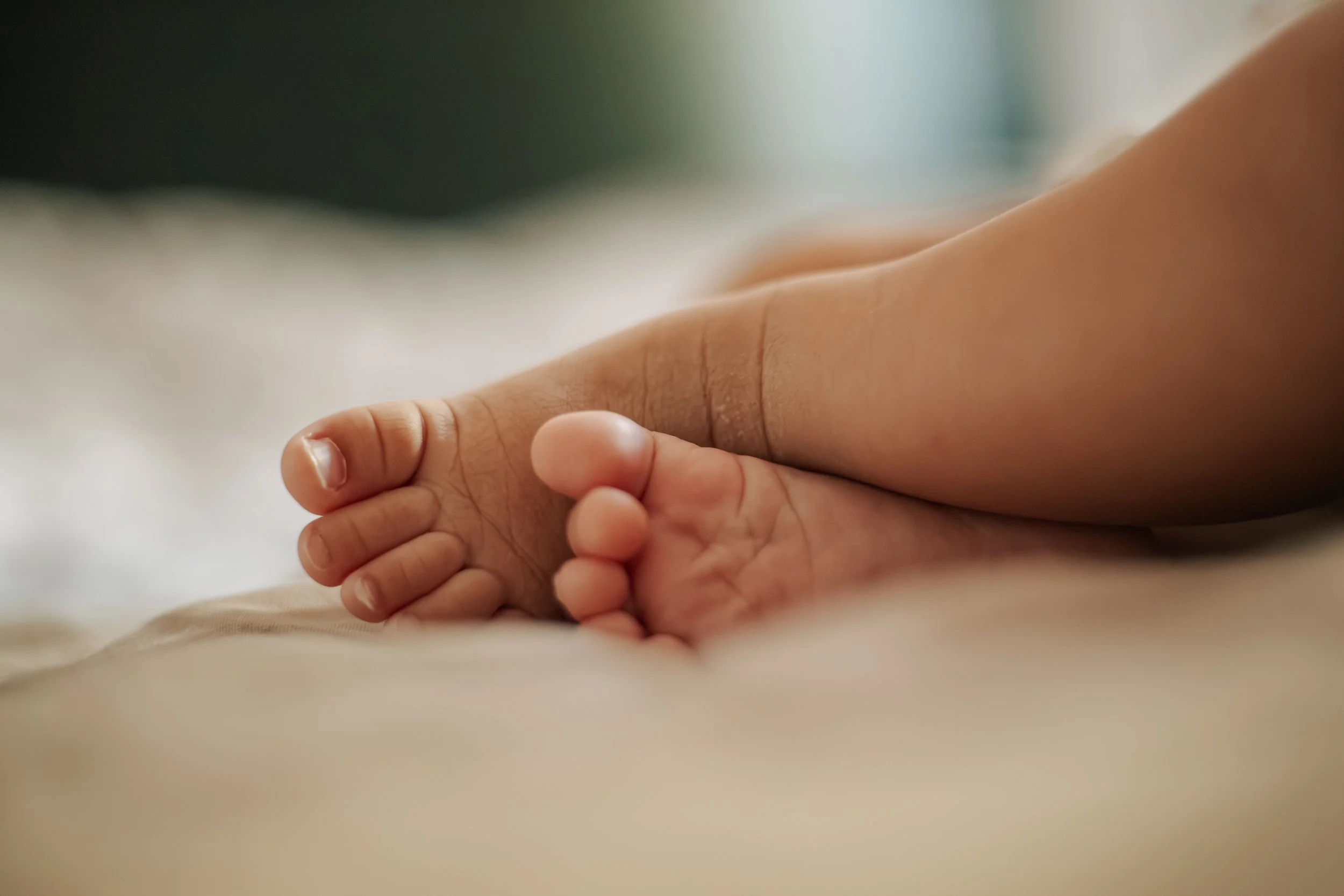 Close-up van een baby die met een volwassen vinger vasthoudt.