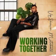 A man sitting on a railing near a large potted plant in front of a window, with the text 'WORKING TOGETHER' and the name 'Yolawn Musan' on the photo.