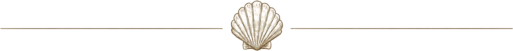 Shell Divider