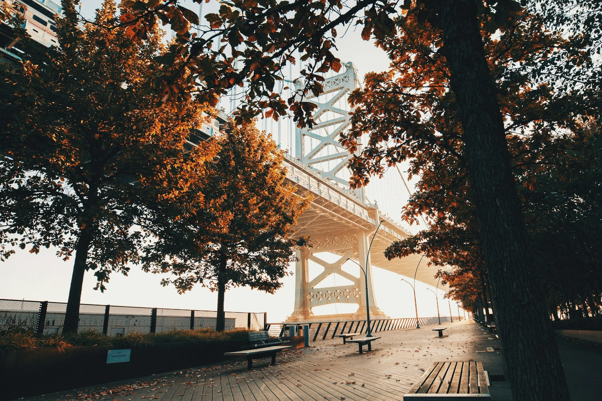 View of the Ben Franklin Bridge in Philadelphia through trees with autumn leaves, benches, and a paved walkway in foreground.