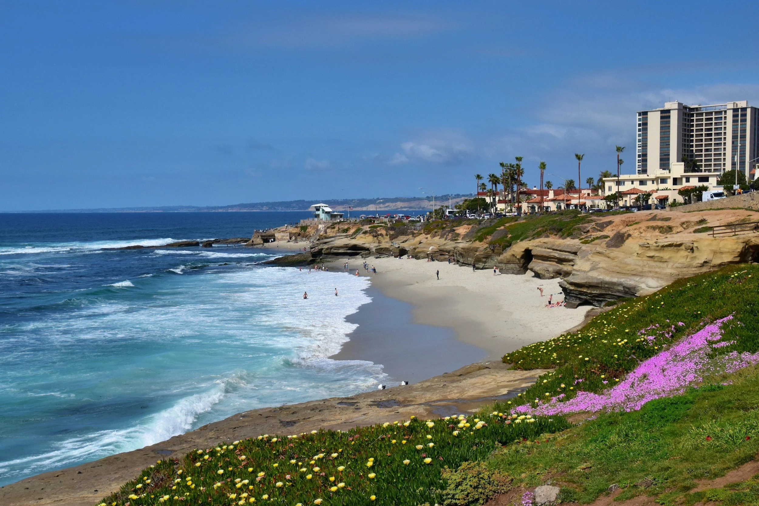 Beach with rocky shoreline, people swimming and walking, ocean waves, a building with palm trees in the background, and colorful flowers on the grass in the foreground.