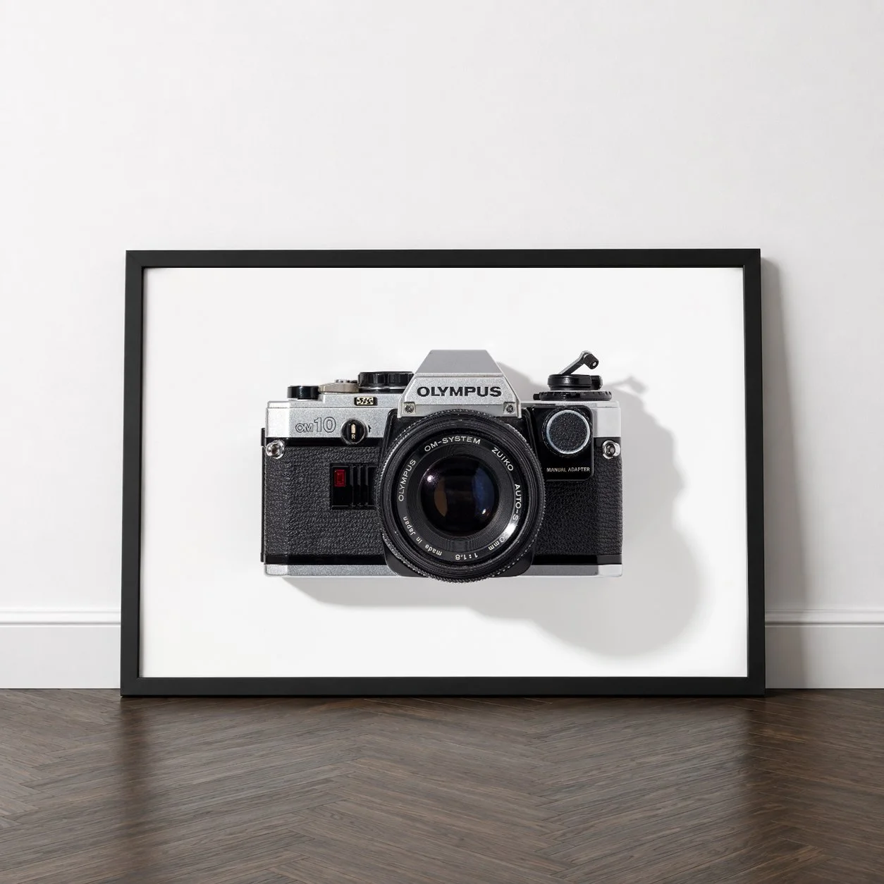 OLYMPUS OM-10 20" x 30" PRINT
