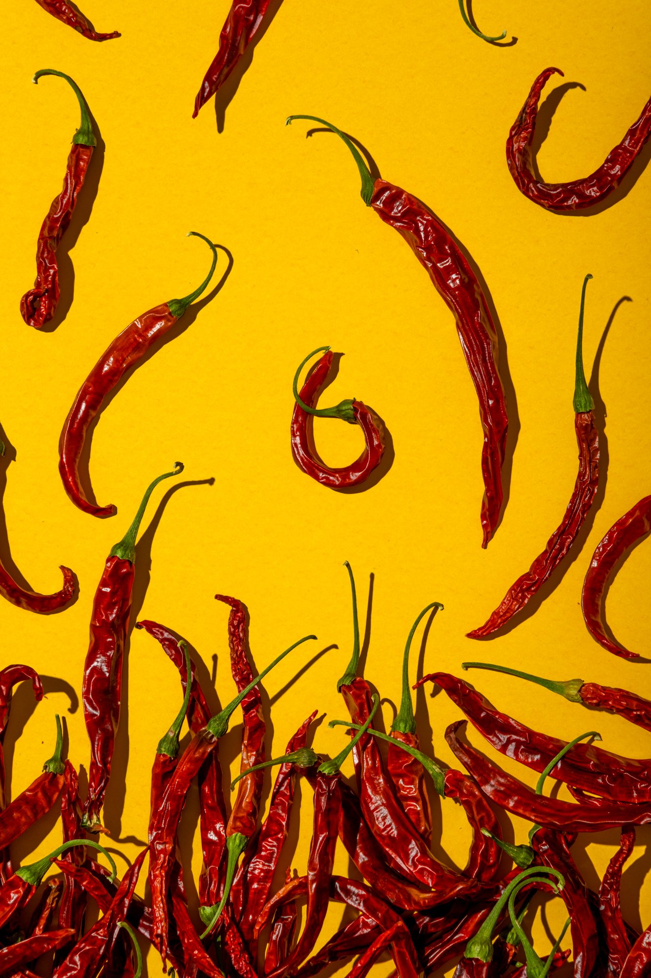 dried chillis small file.jpg