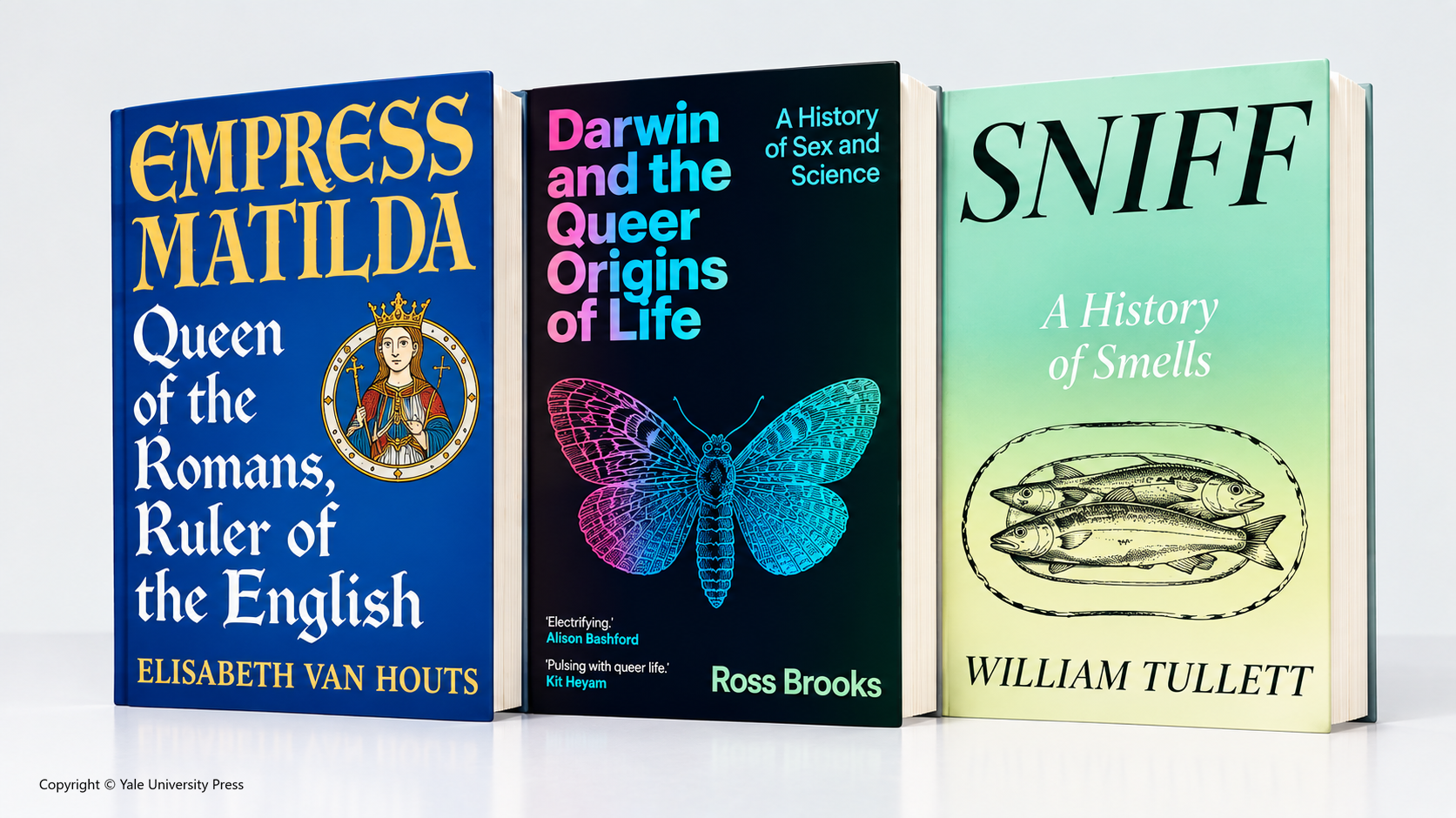 BooksDisplay4Copyright © Yale University Press.png