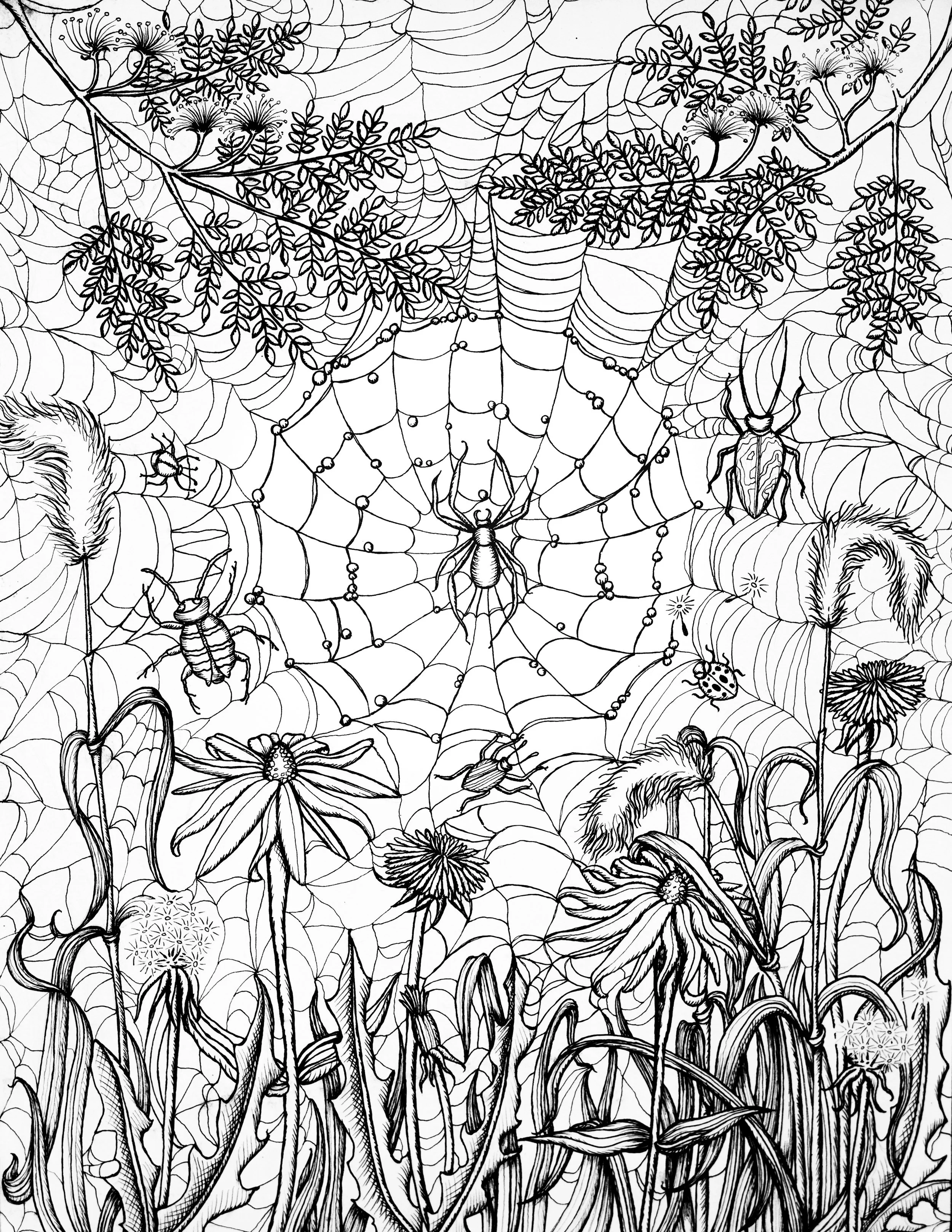 "Arachne's Mandala"
Pen and ink on paper
9" x 12" 
2015
