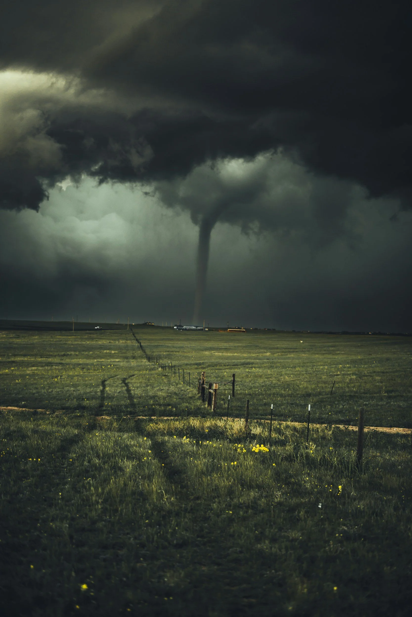 A dark, ominous storm cloud over a grassy field with a tornado funnel touching down on the ground.
