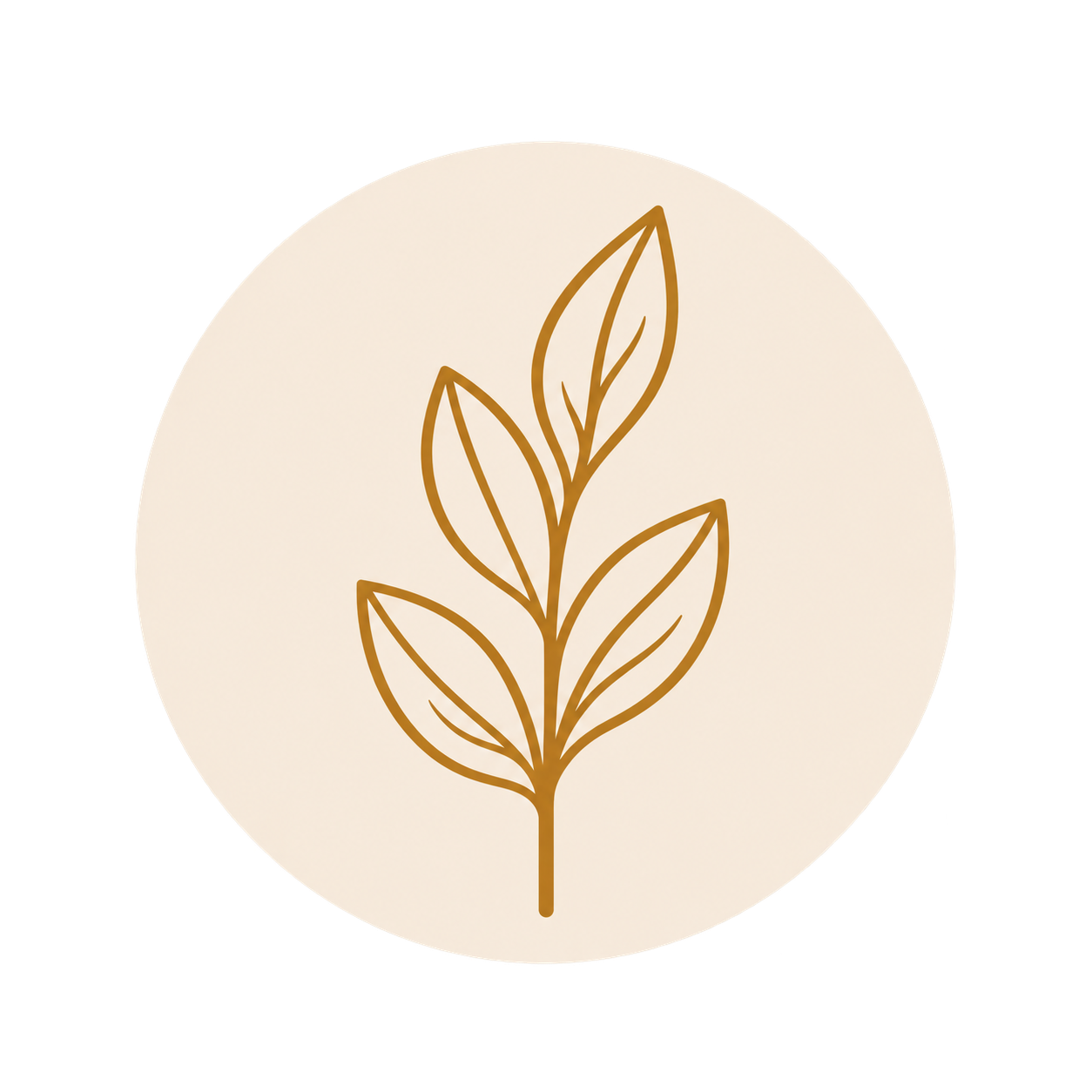 Minimalistic illustration of a plant with leaves, outlined in brown on a light background.