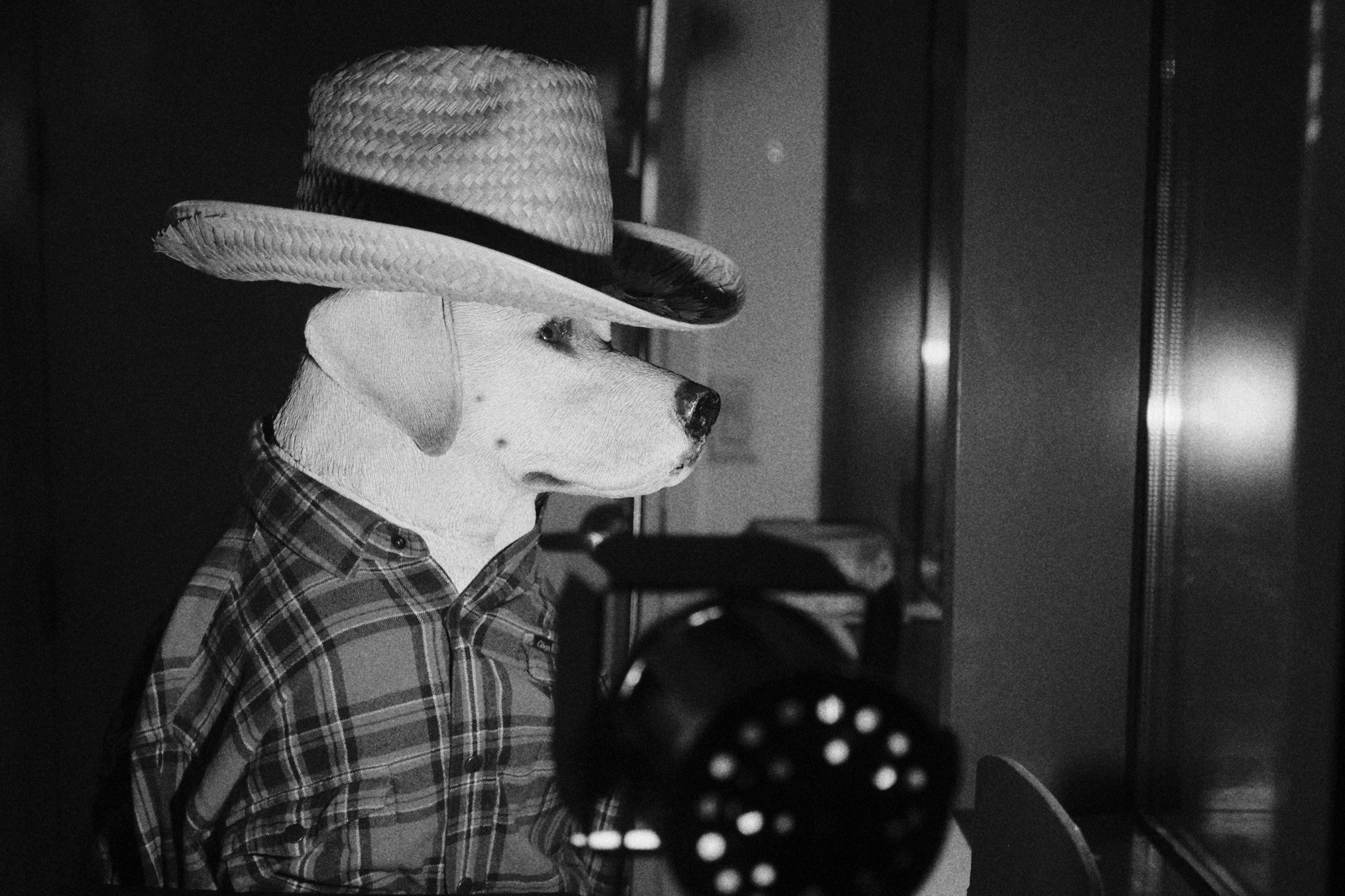 DSCF1983.jpg