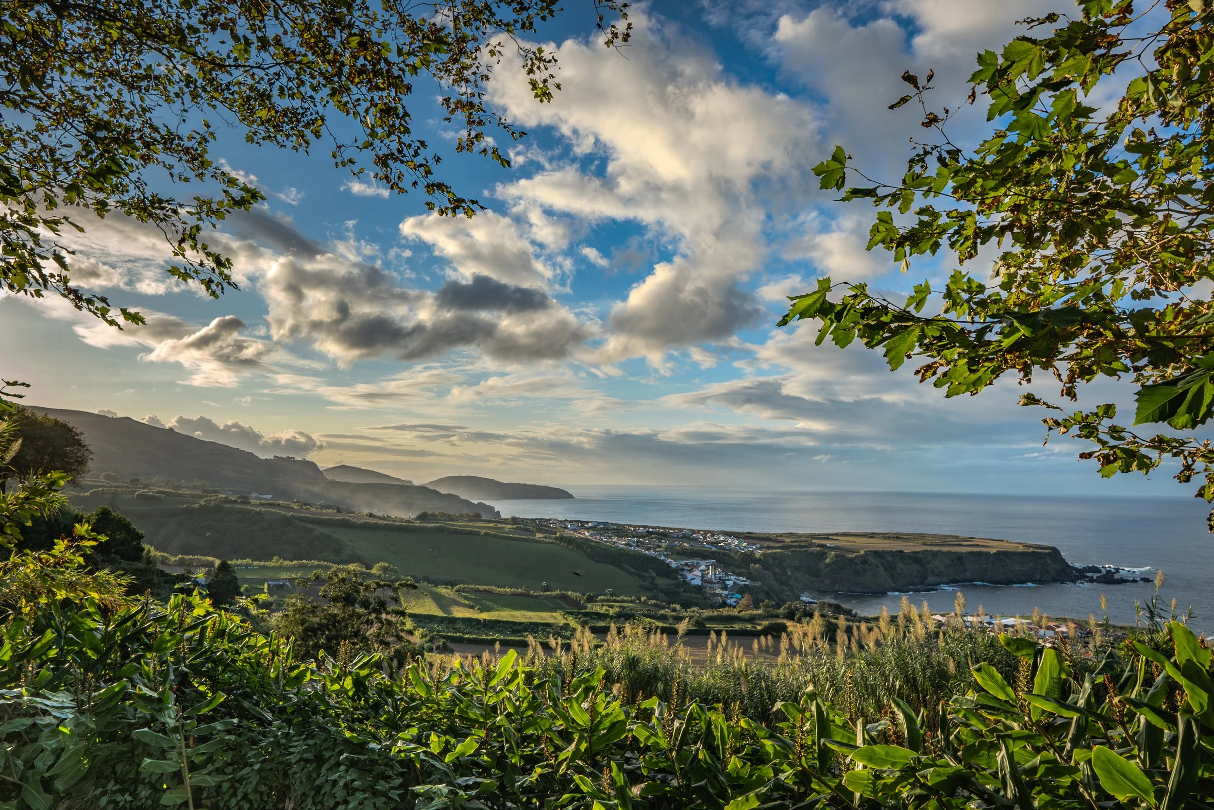 Blick auf eine Küstenlandschaft mit grünen Feldern, Hügeln, Häusern und dem Meer unter einem bewölkten blauen Himmel, eingerahmt von Baumzweigen.