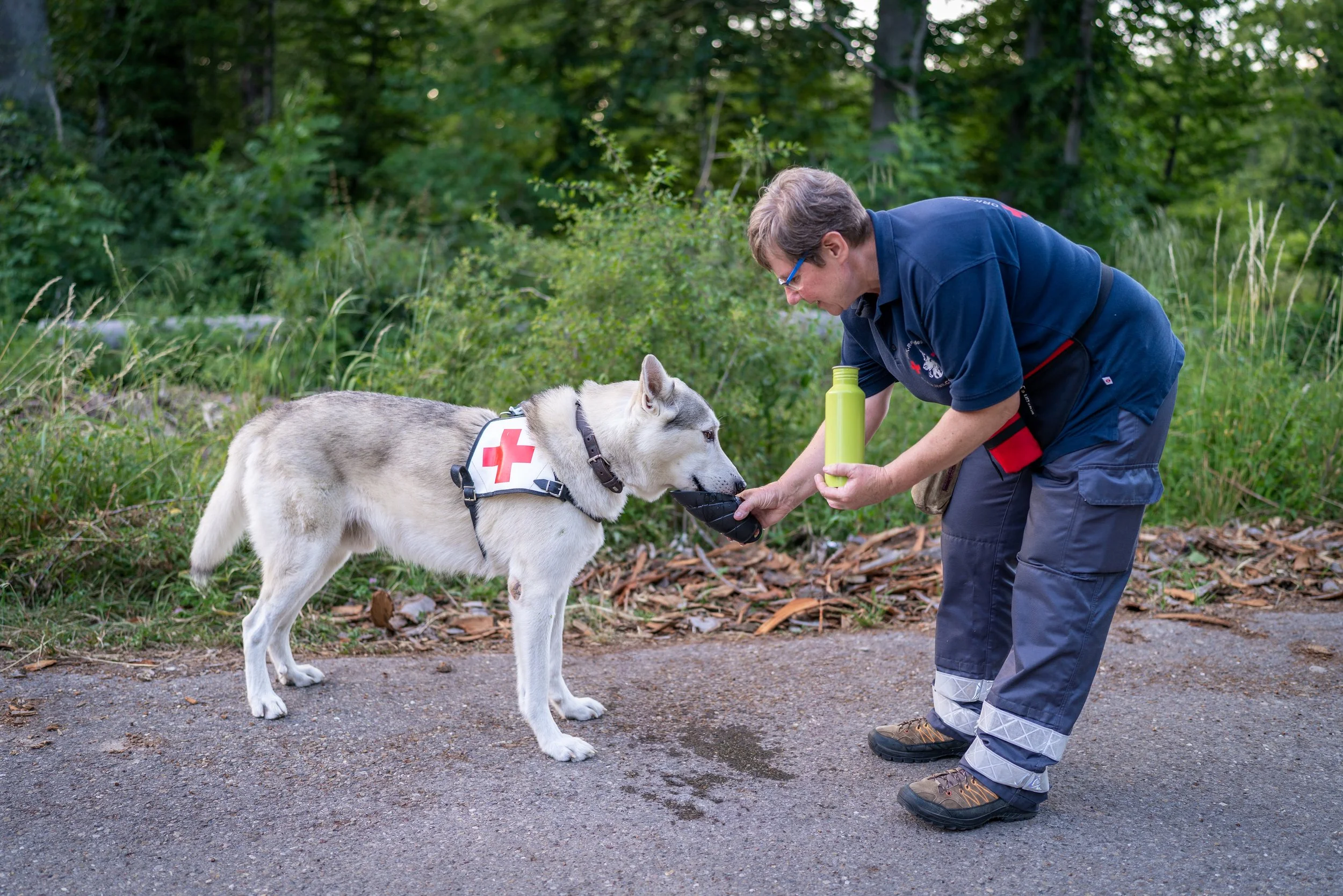 Ein Mann in Notfallkleidung mit Husky-Hund im Wald. Der Mann füttert den Hund, während er eine Flasche Wasser hält.