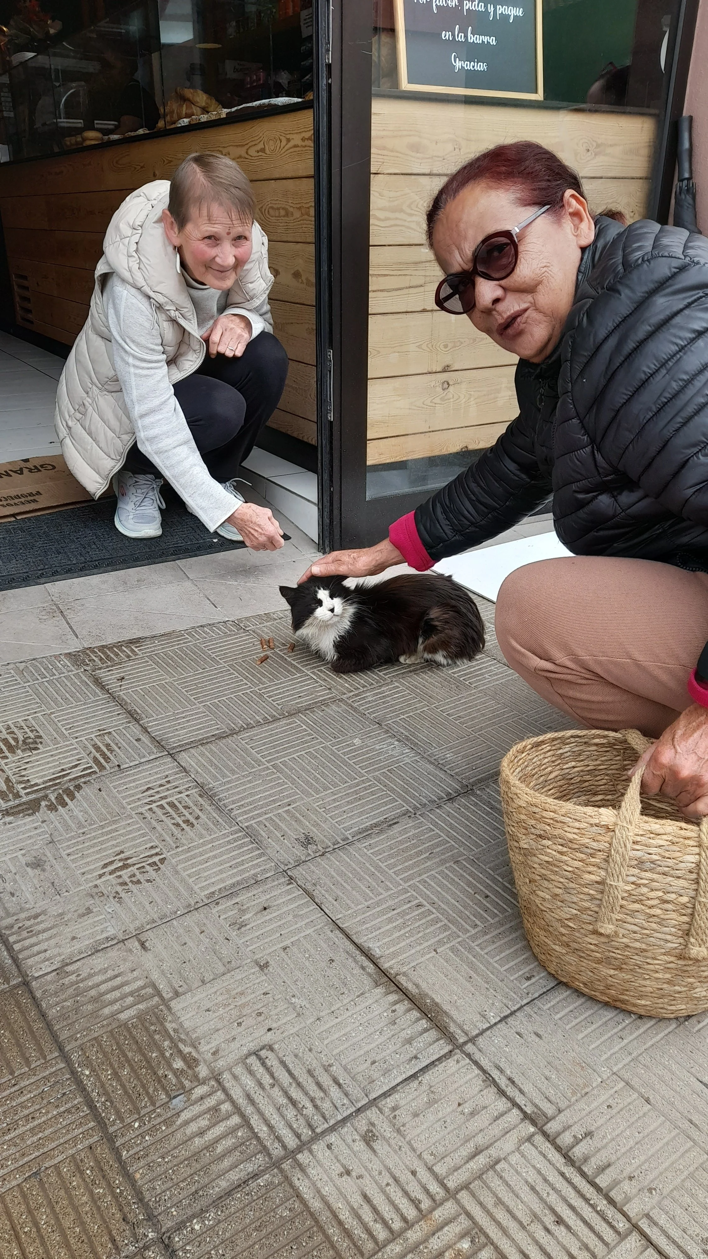 Dos mujeres adultas interactuando con un gato negro y blanco en la acera frente a un negocio. Una mujer está agachada en la entrada, sonriendo y tocando al gato, mientras la otra mujer también está tocando el gato y sostiene un cesto de yute.