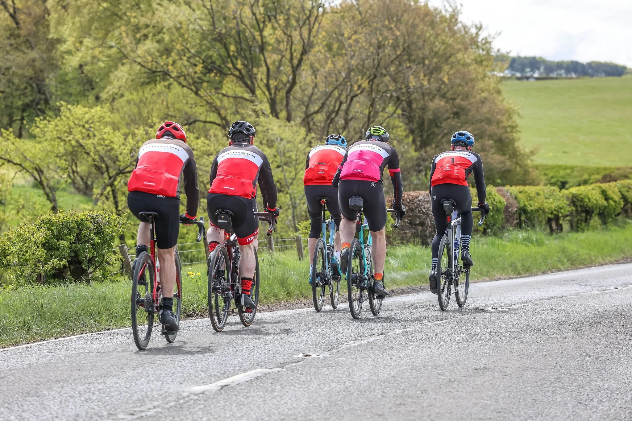 Five cyclists wearing helmets and red, pink, black, and blue jerseys riding bicycles on a rural road surrounded by green trees and open fields.