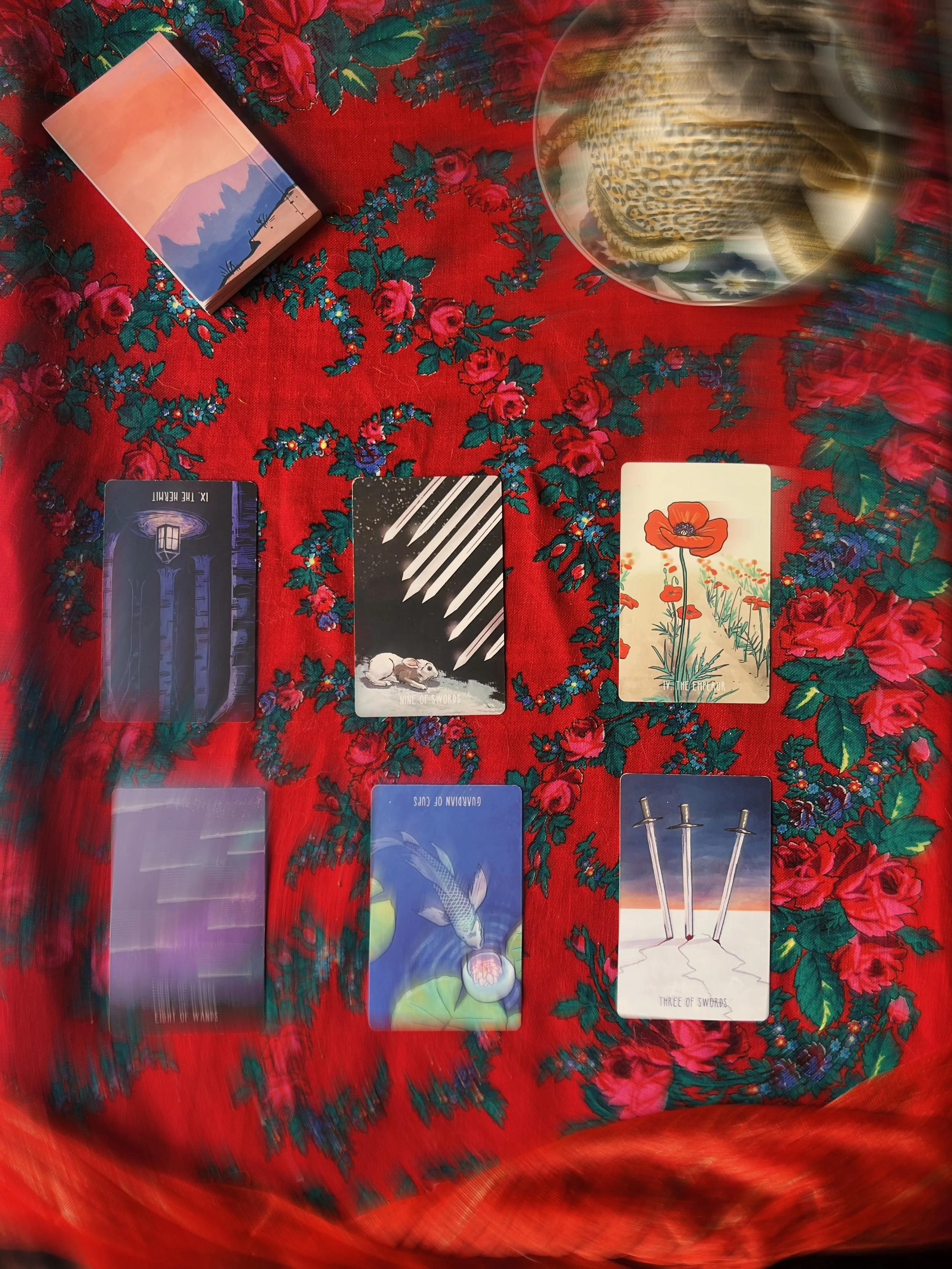 Six Month Reading