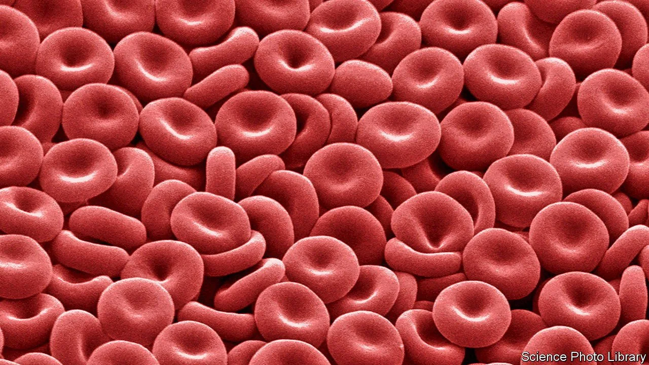 Functional Blood Chemistry