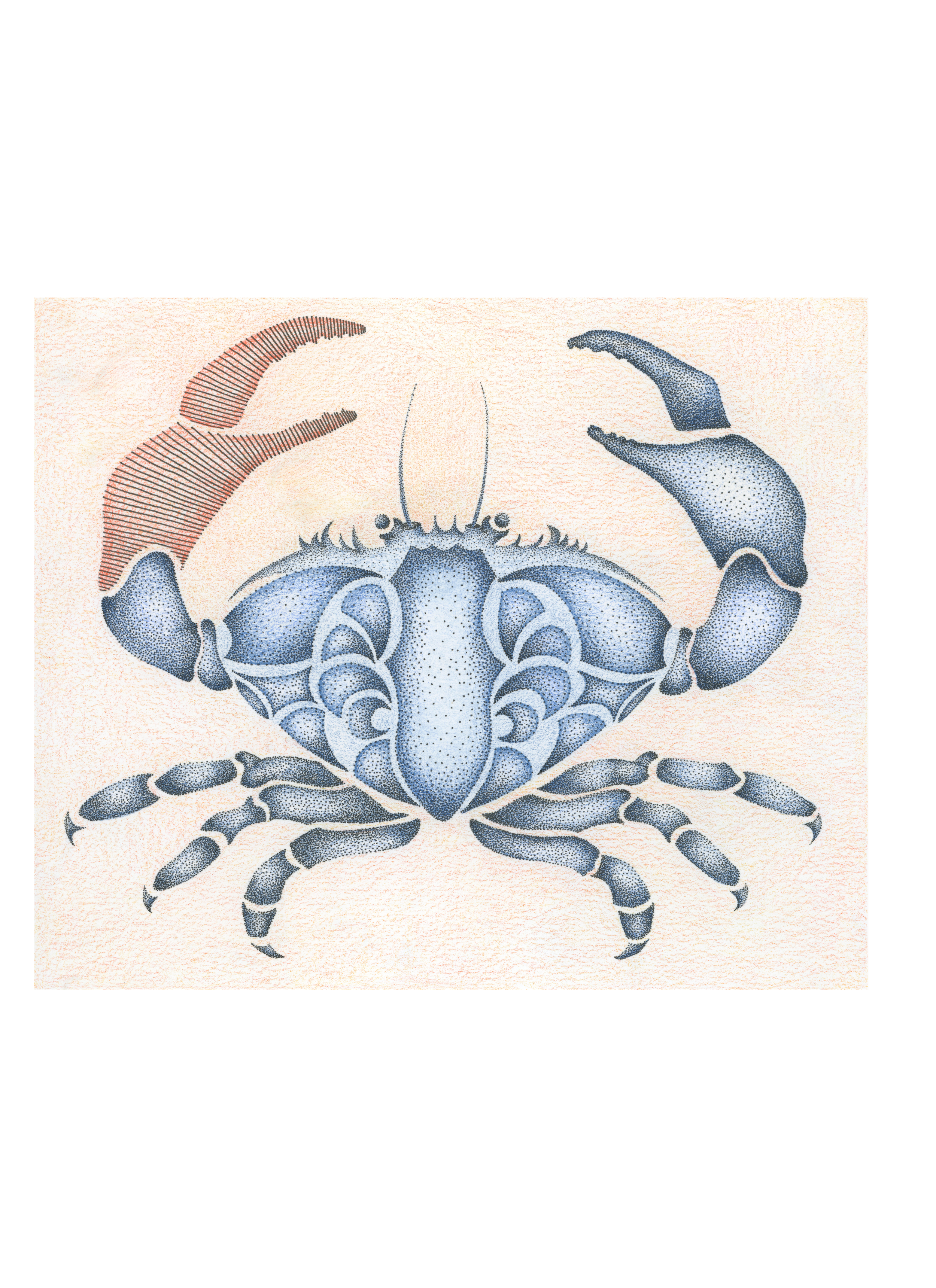 Crab, Blue & Orange