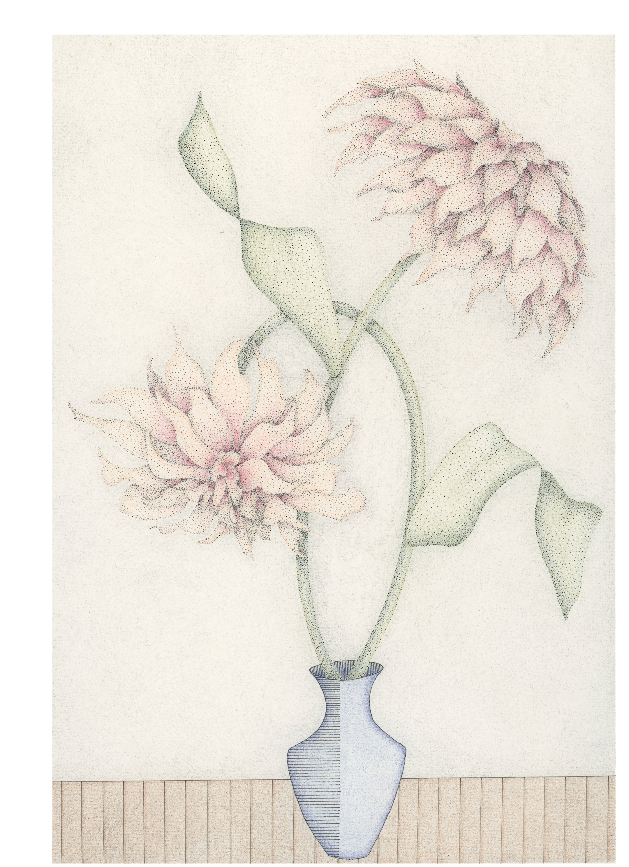 Café au Lait, Pink & Blue