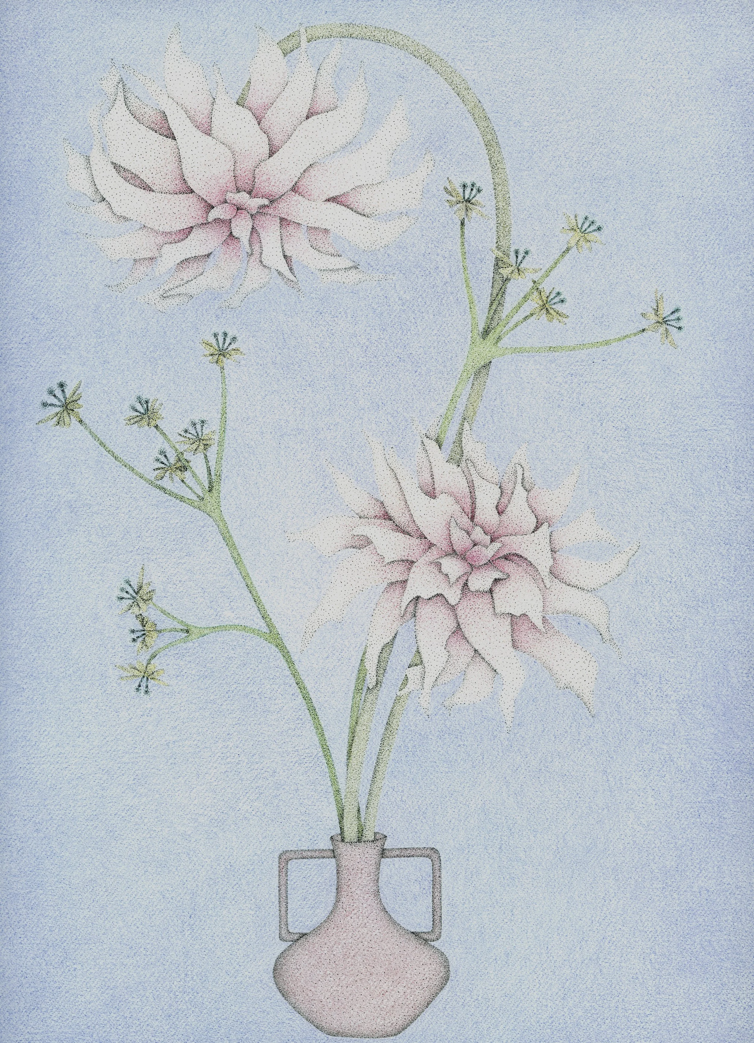 Cafe Au Late, Blue & Pink