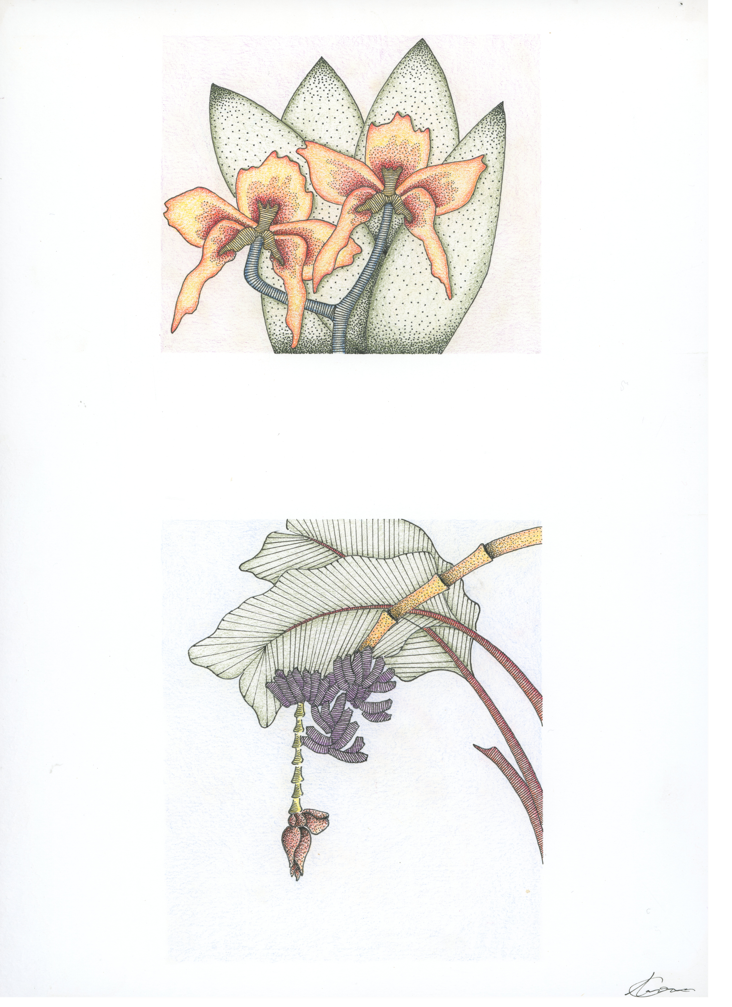 Isabella Decourcey Artwork010 copy.png