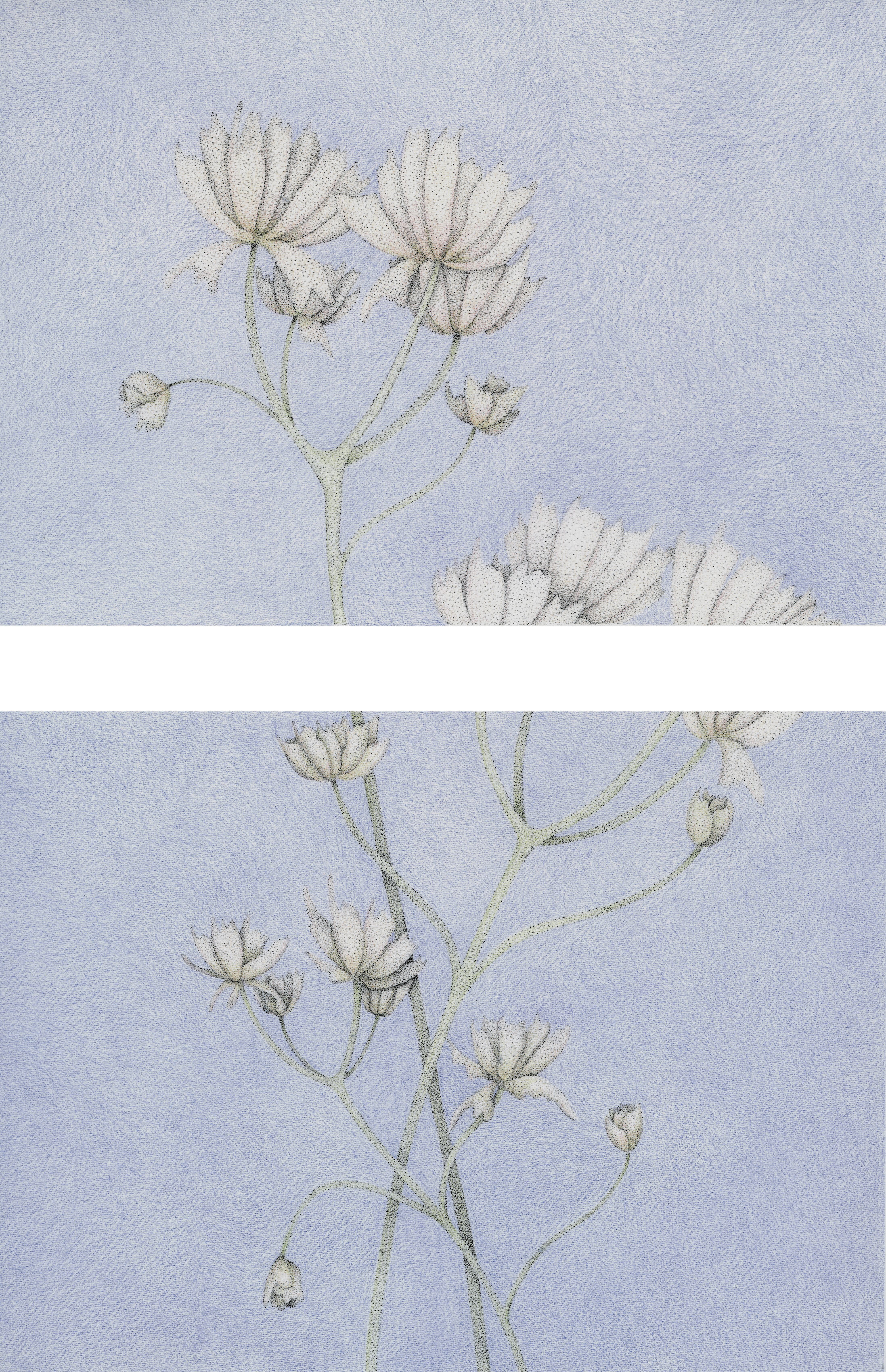 Flowers, Pink & Blue