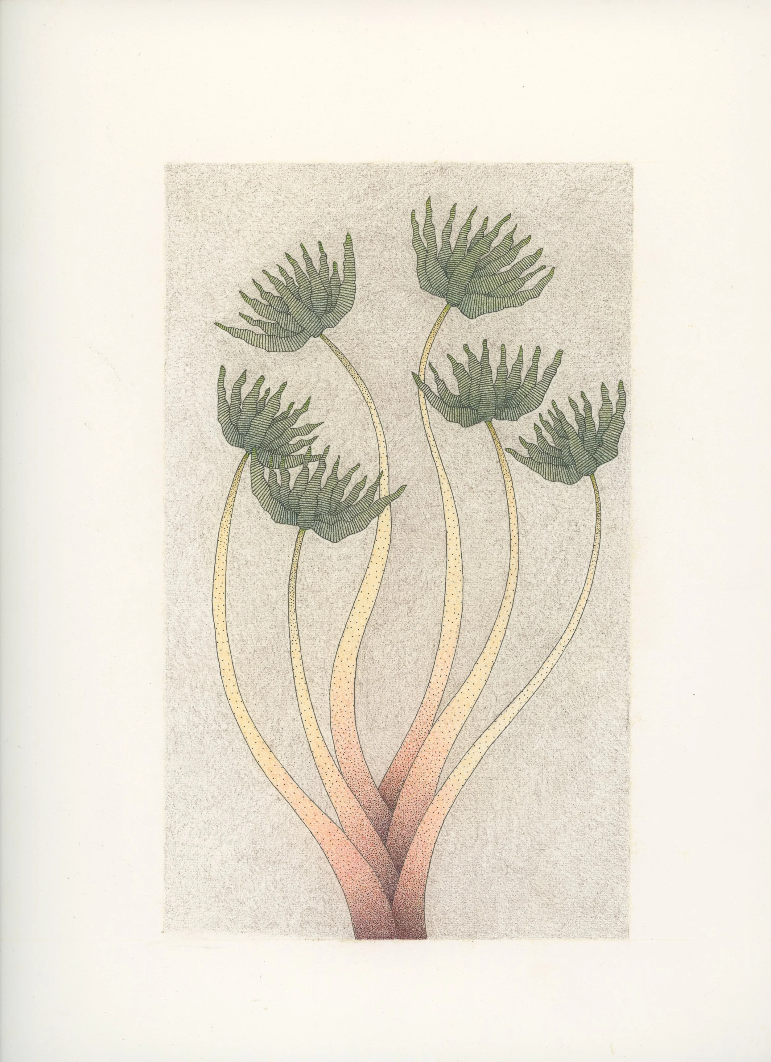 Isabella Decourcey Artwork019 copy.jpg