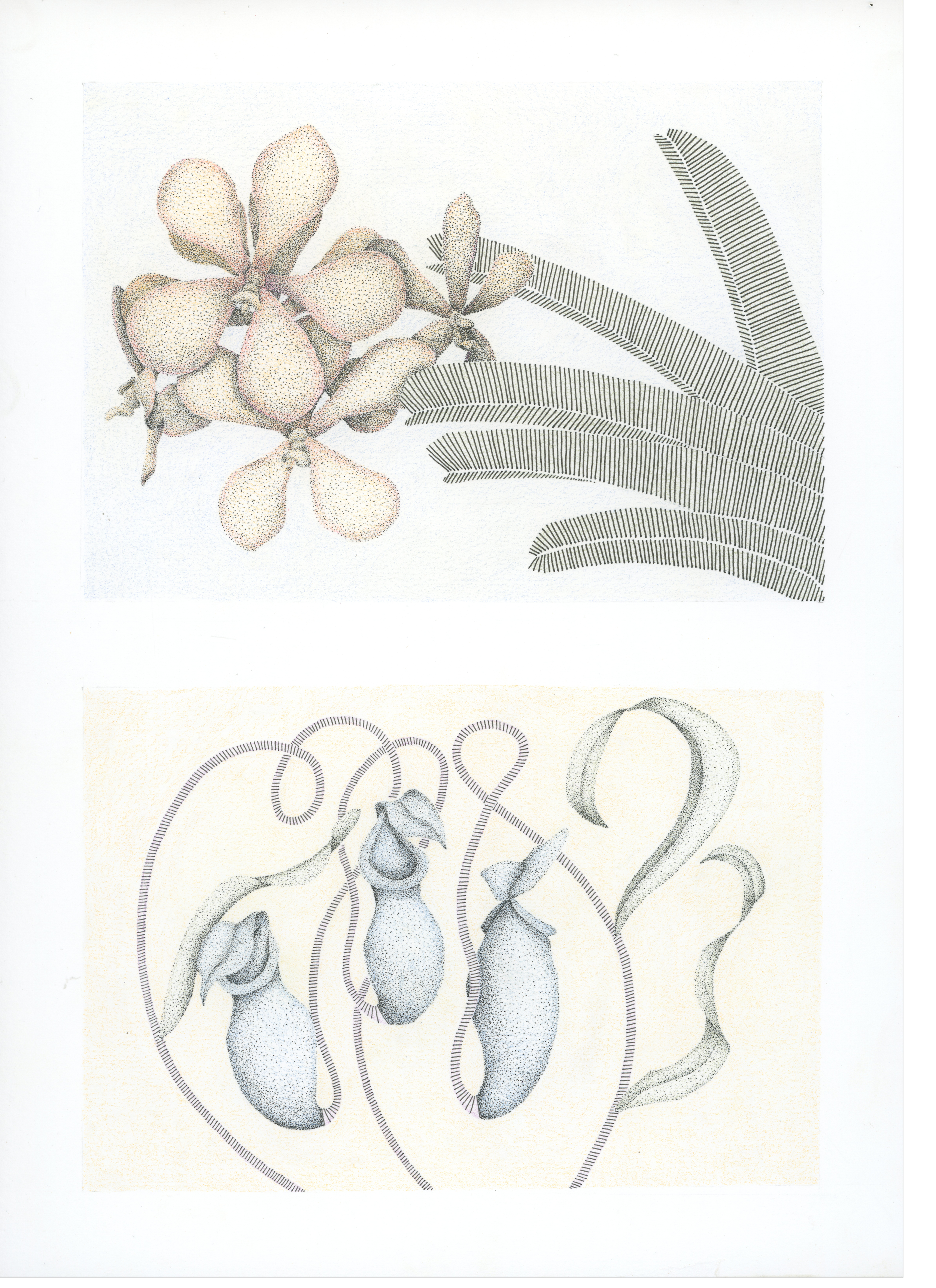 Isabella Decourcey Artwork007 copy.png