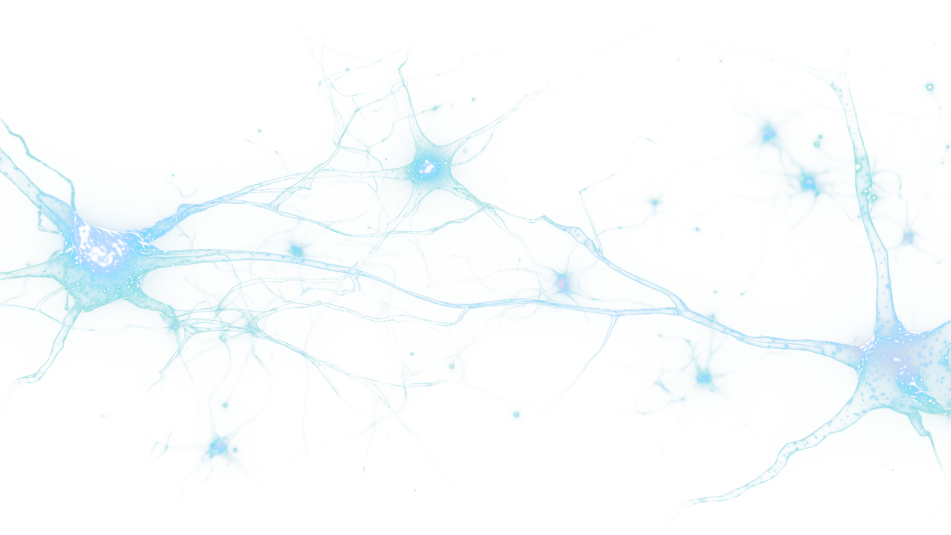 Neurons