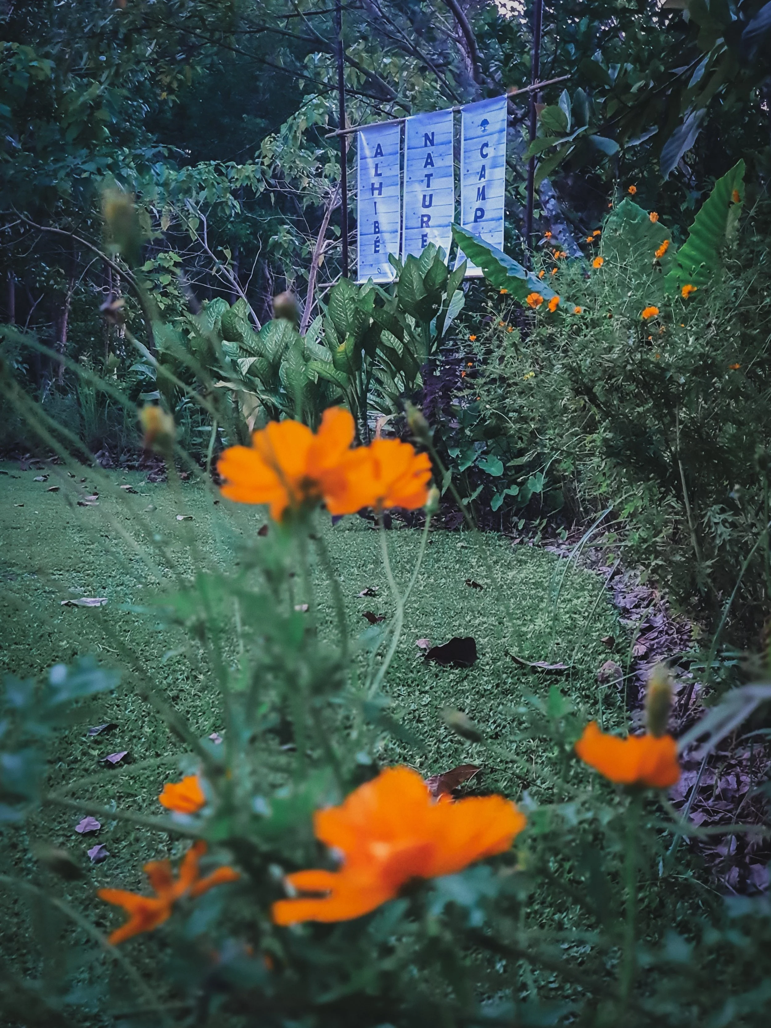 20221105_171744.jpg