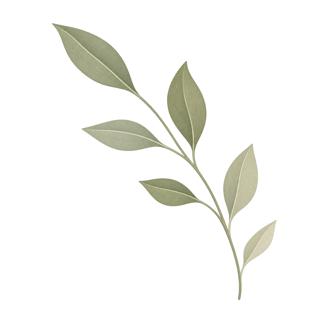 A sprig of green leaves with a textured surface and prominent white veins against a mixed background of gray, black, and yellow.