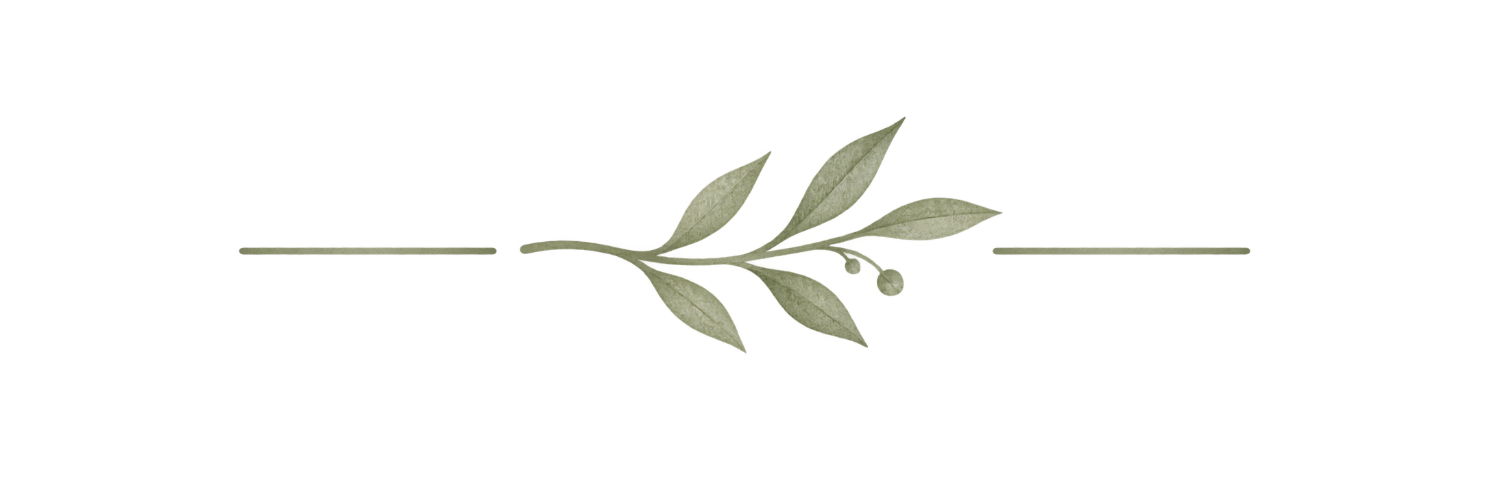 A sprig of sage herb with green leaves lying on a yellow surface.