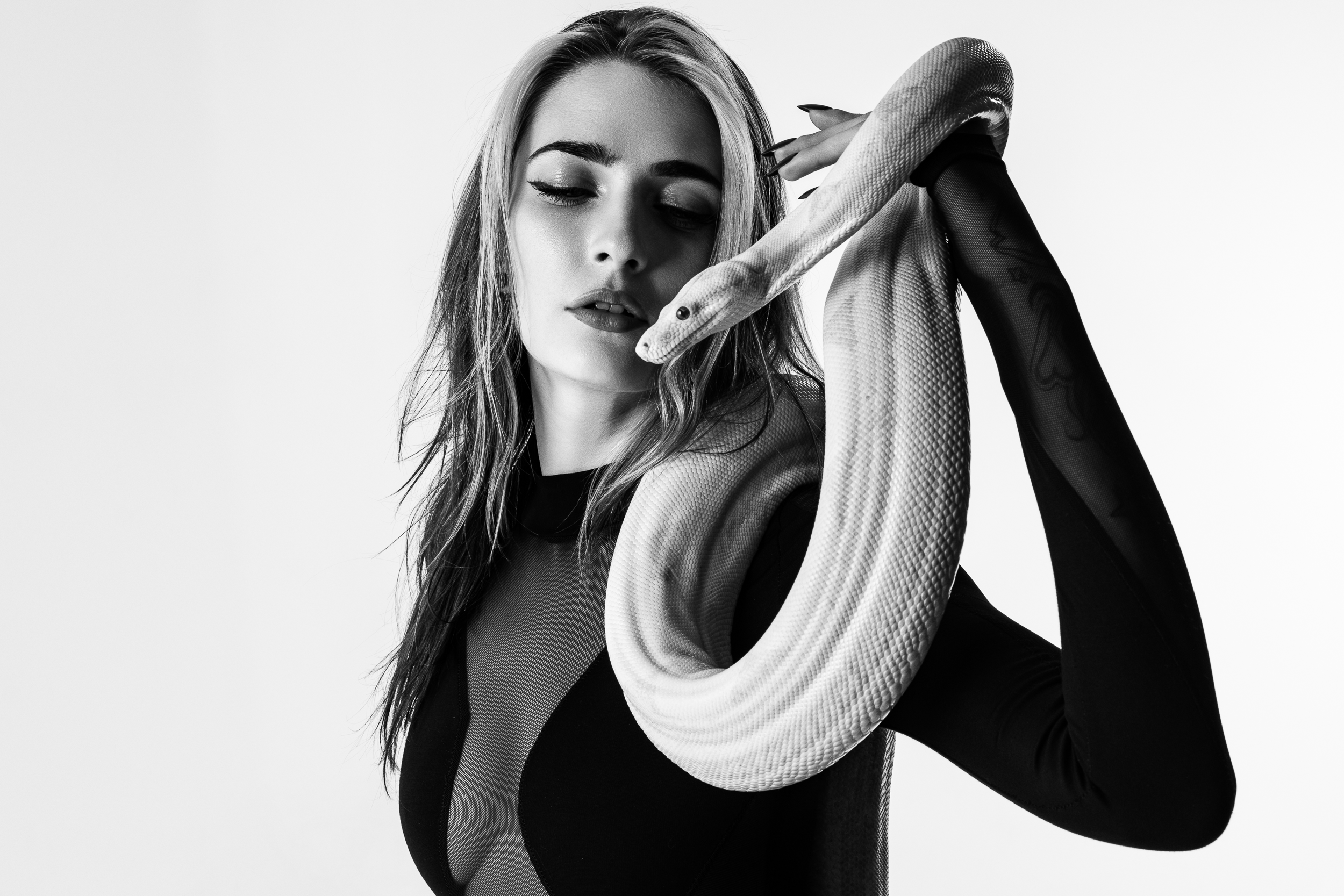 2026-06-13 - Ellie - C-02.png
