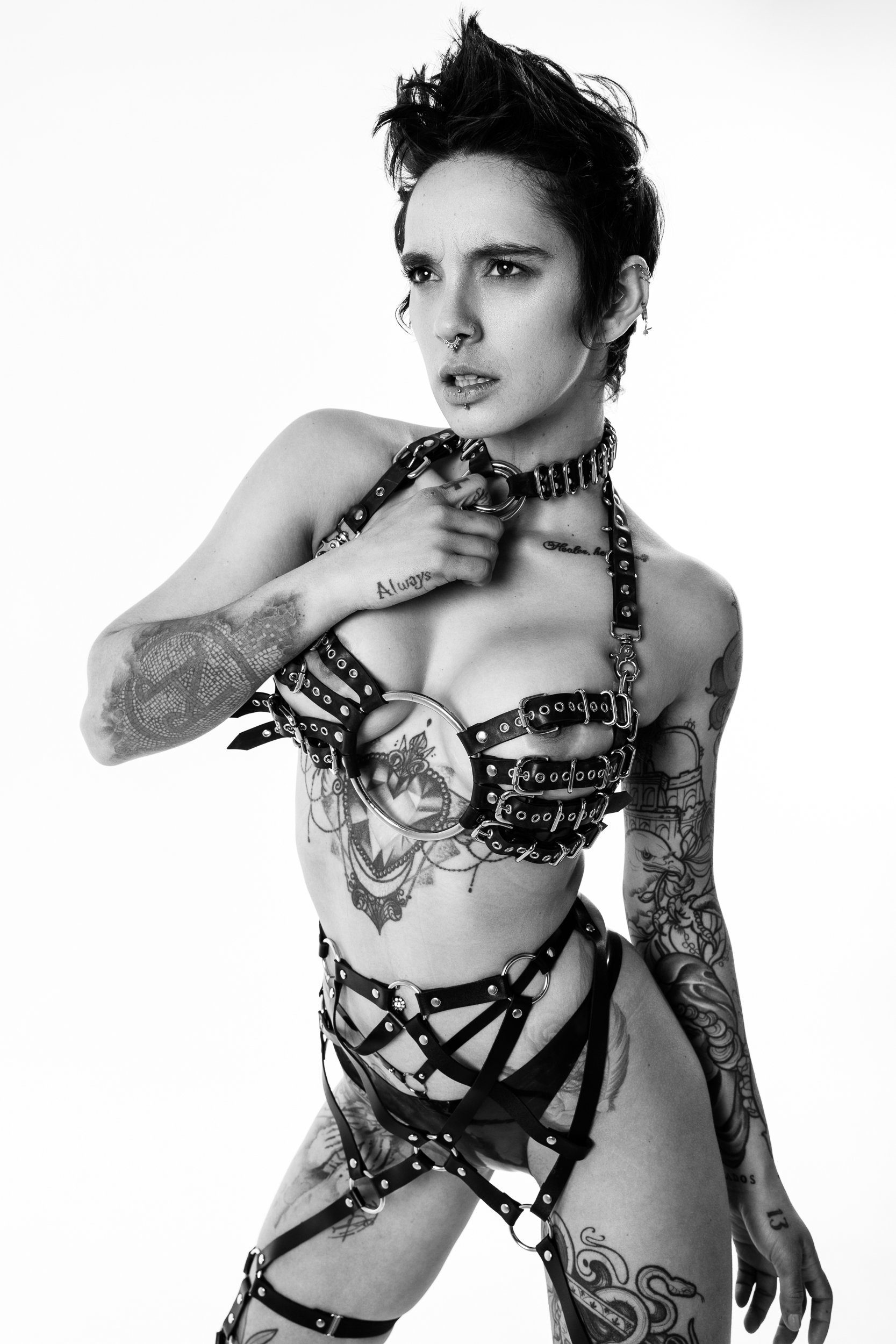 2025-03-15 - Pixie - B-01.jpg