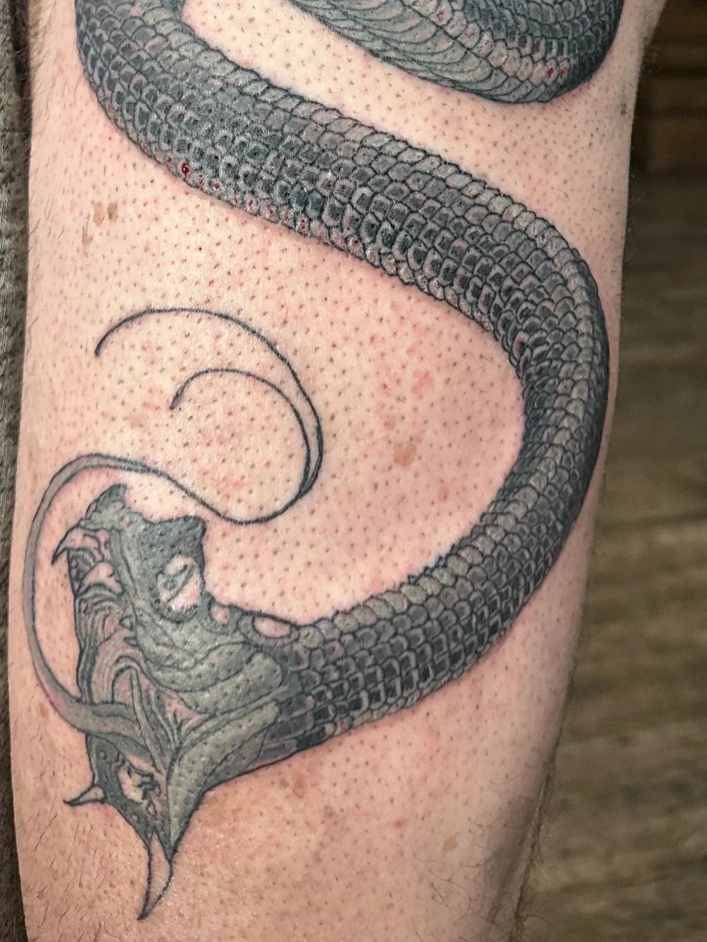 Close-up of a tattoo of a snake coiled around a skull on a person's arm or shoulder.