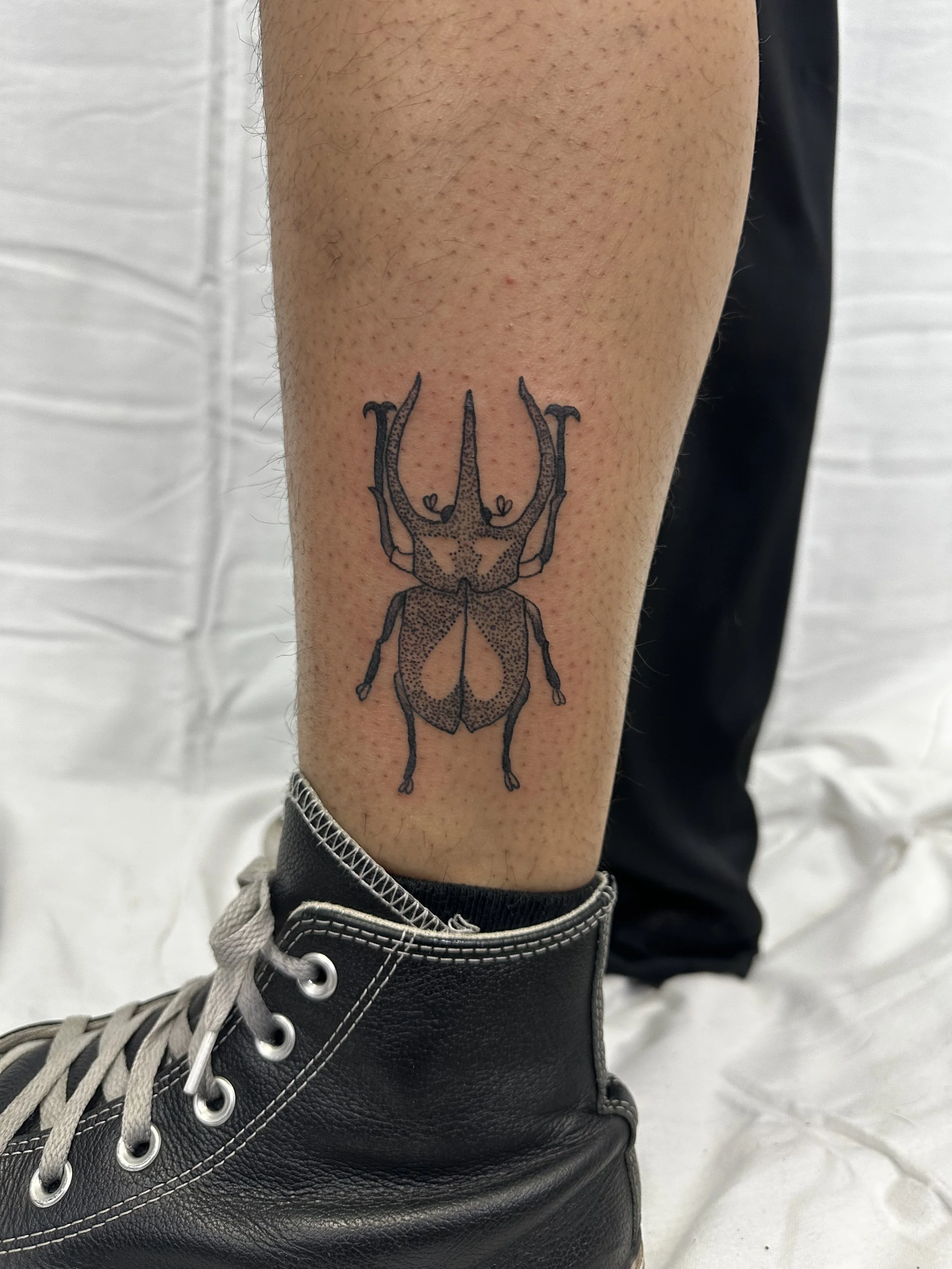 Close-up of a person's lower leg with a black line art tattoo of a stag beetle.