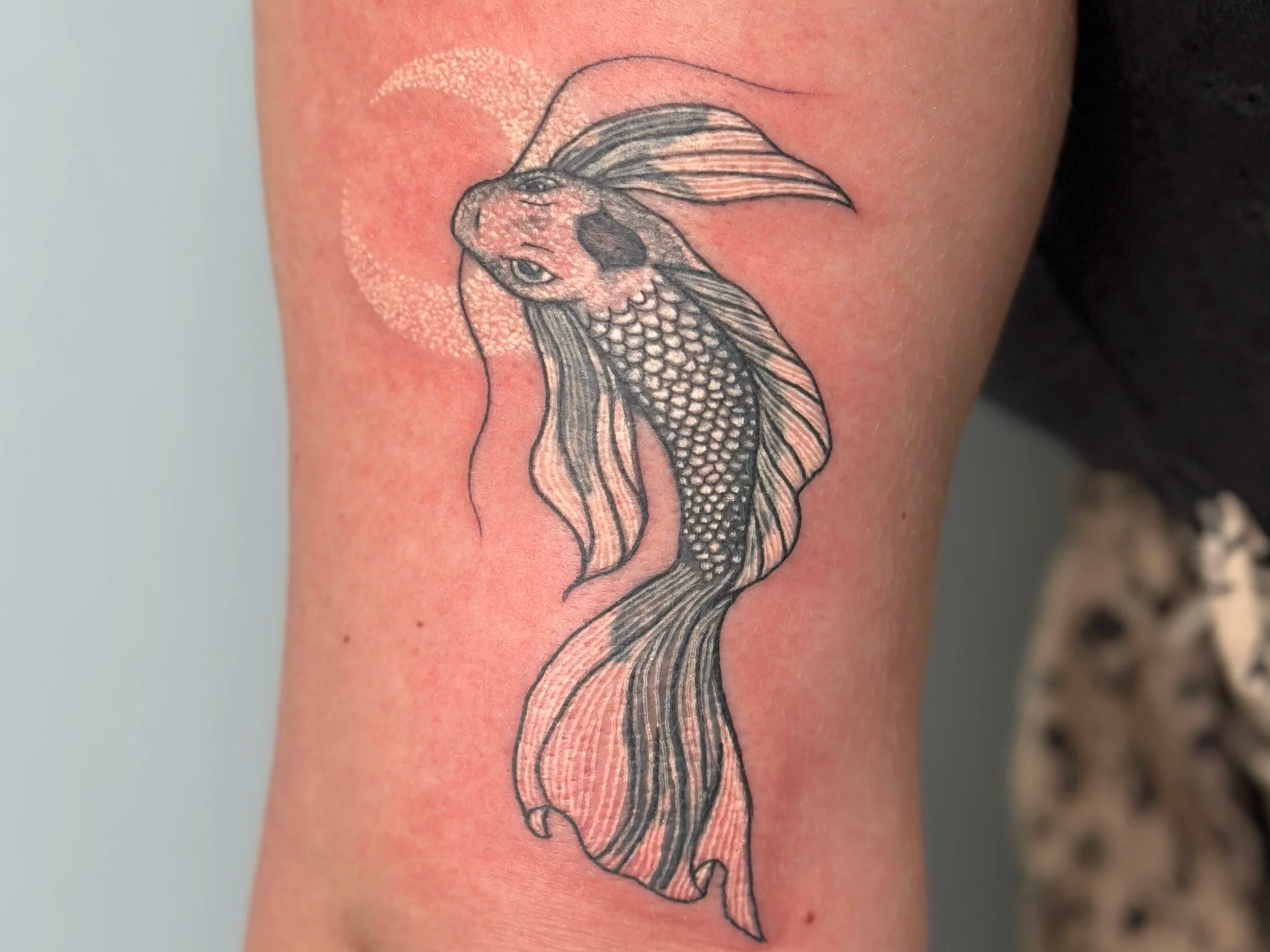 Tattoo of a fish with flowing fins and scales on a person's arm.