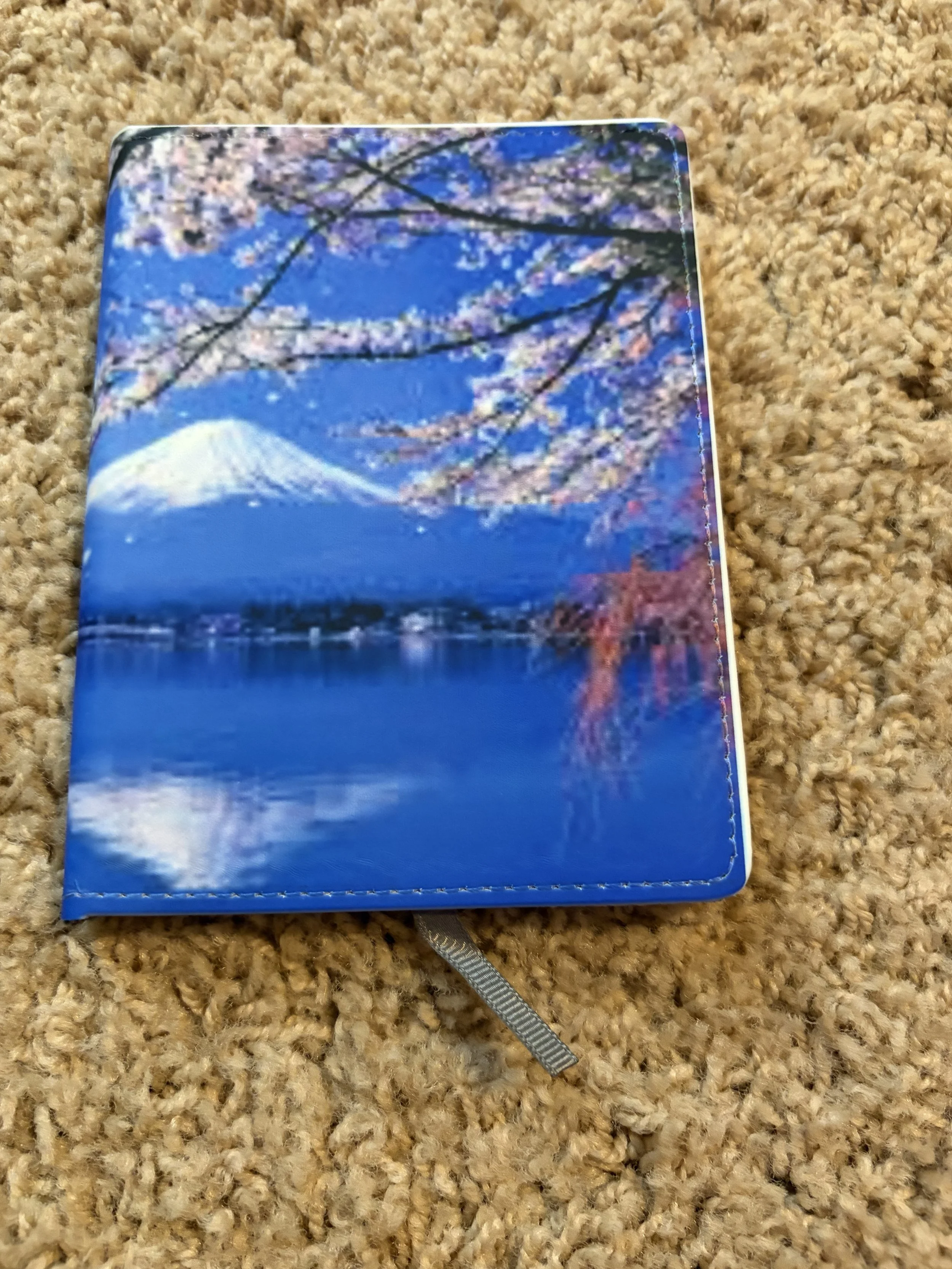 IMG_2844.jpeg