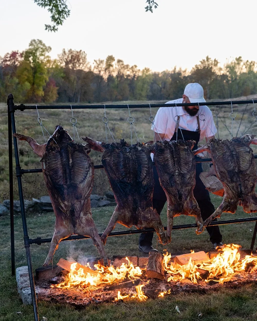 Chef_Pigs.webp