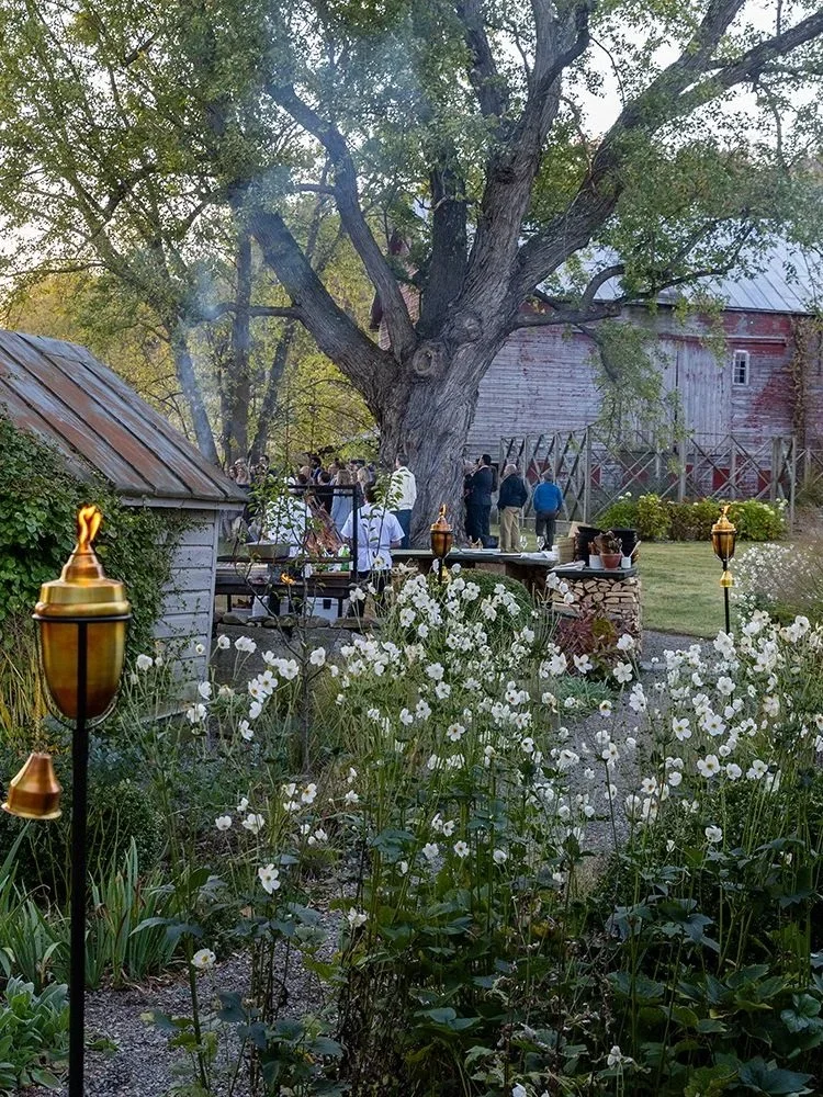 Garden.webp