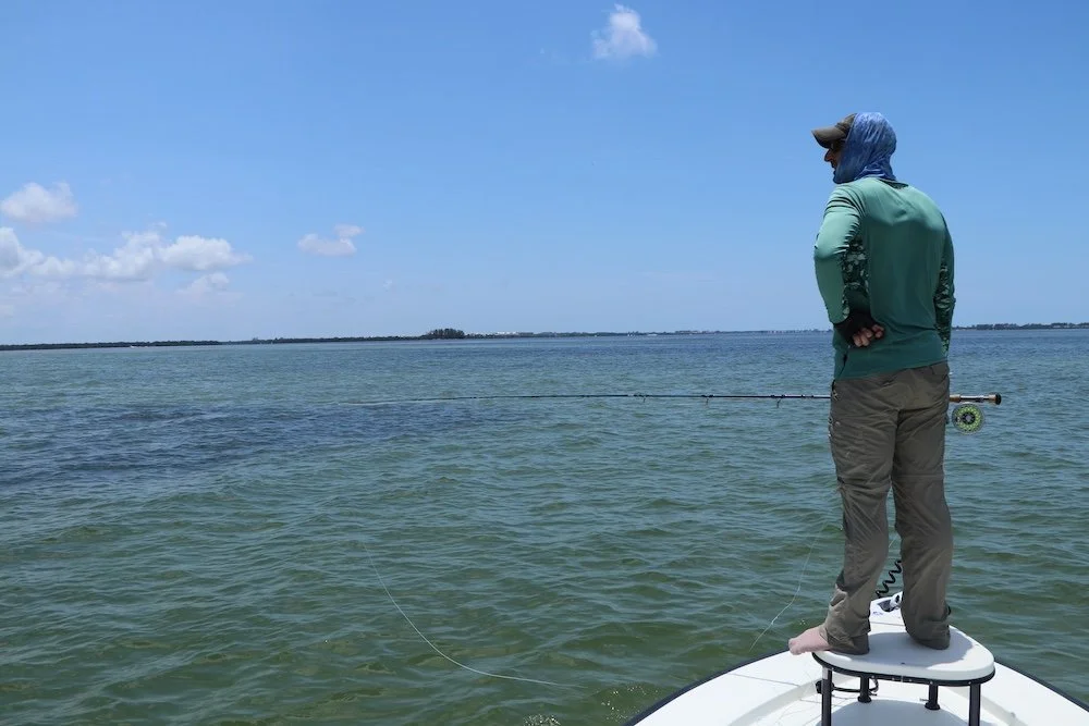 Looking for Tarpon_SQweb.JPG