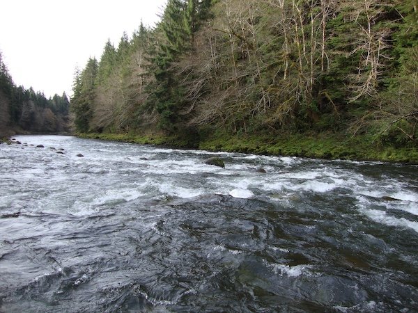 Sol Duc Rapids_SQweb.JPG