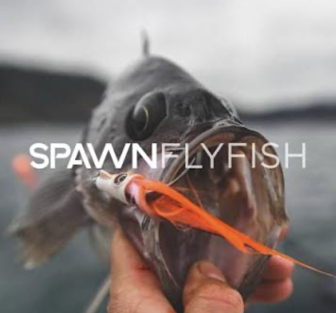 Spawn Fly Shop_SQweb.png