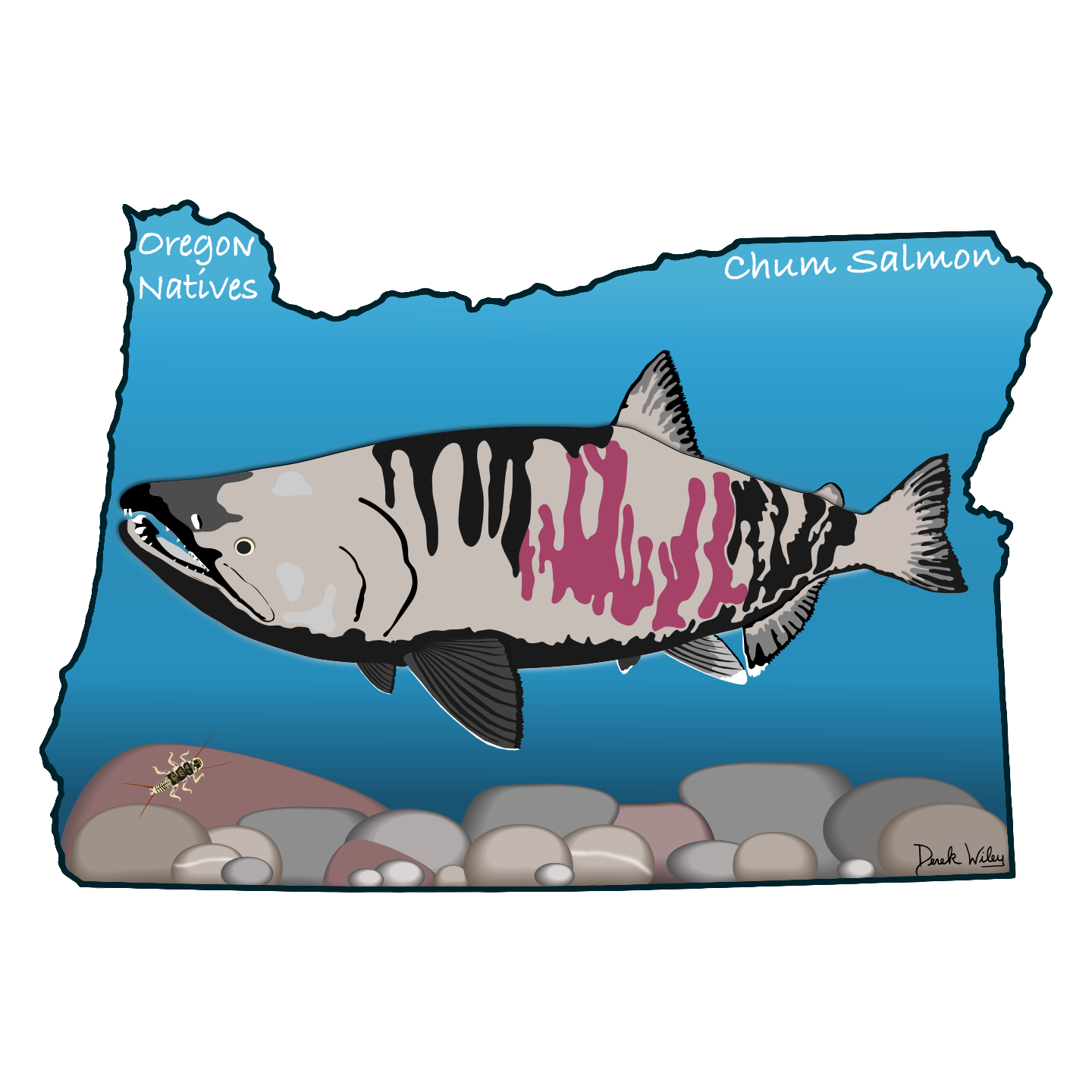 Sticker (Chum Salmon)