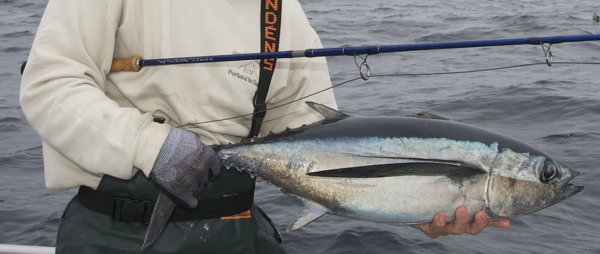 Derek's First Tuna on the Fly.jpg